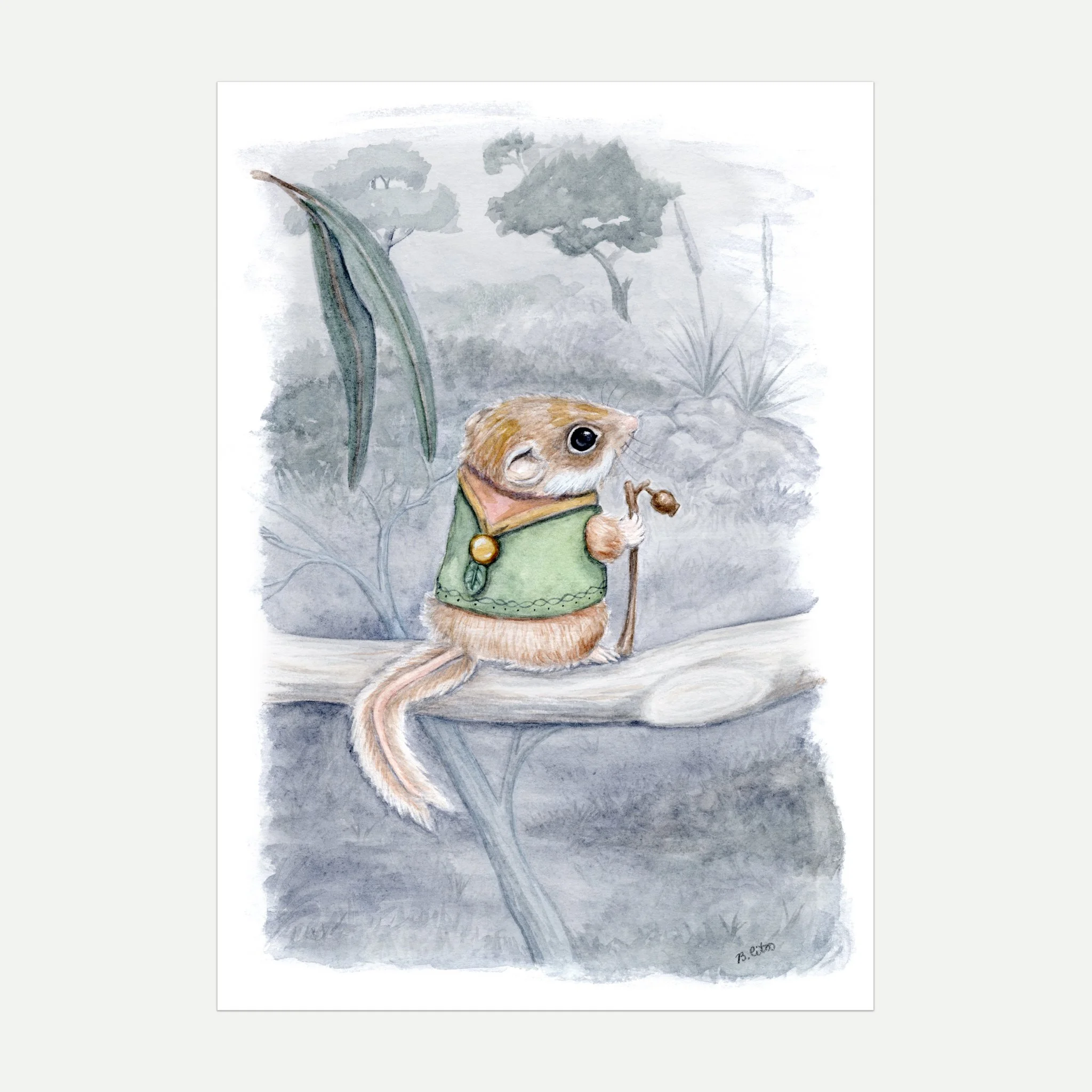 Feathertail Glider A4 Print