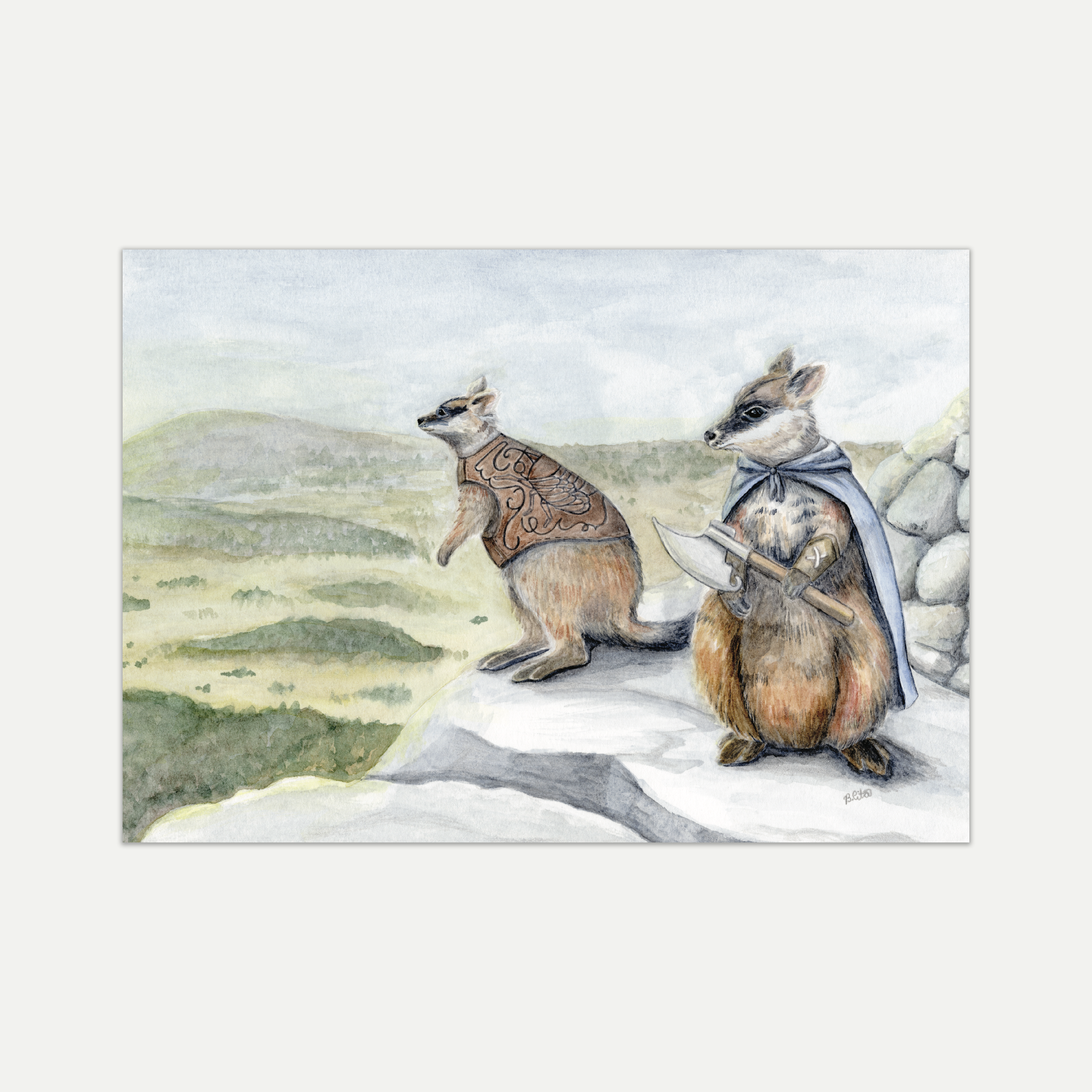 Brush-tailed Rock Wallabies A4 Print