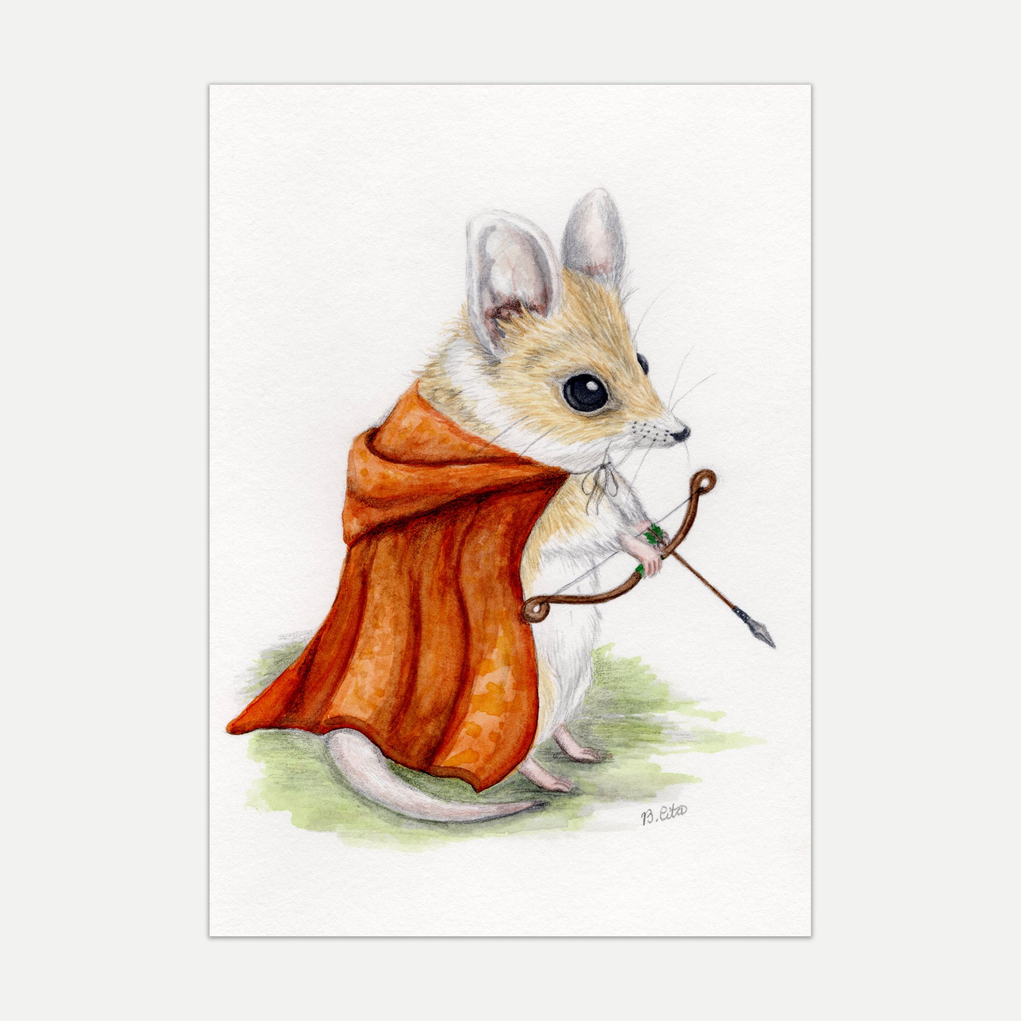 Fat-Tailed Dunnart A4 Print