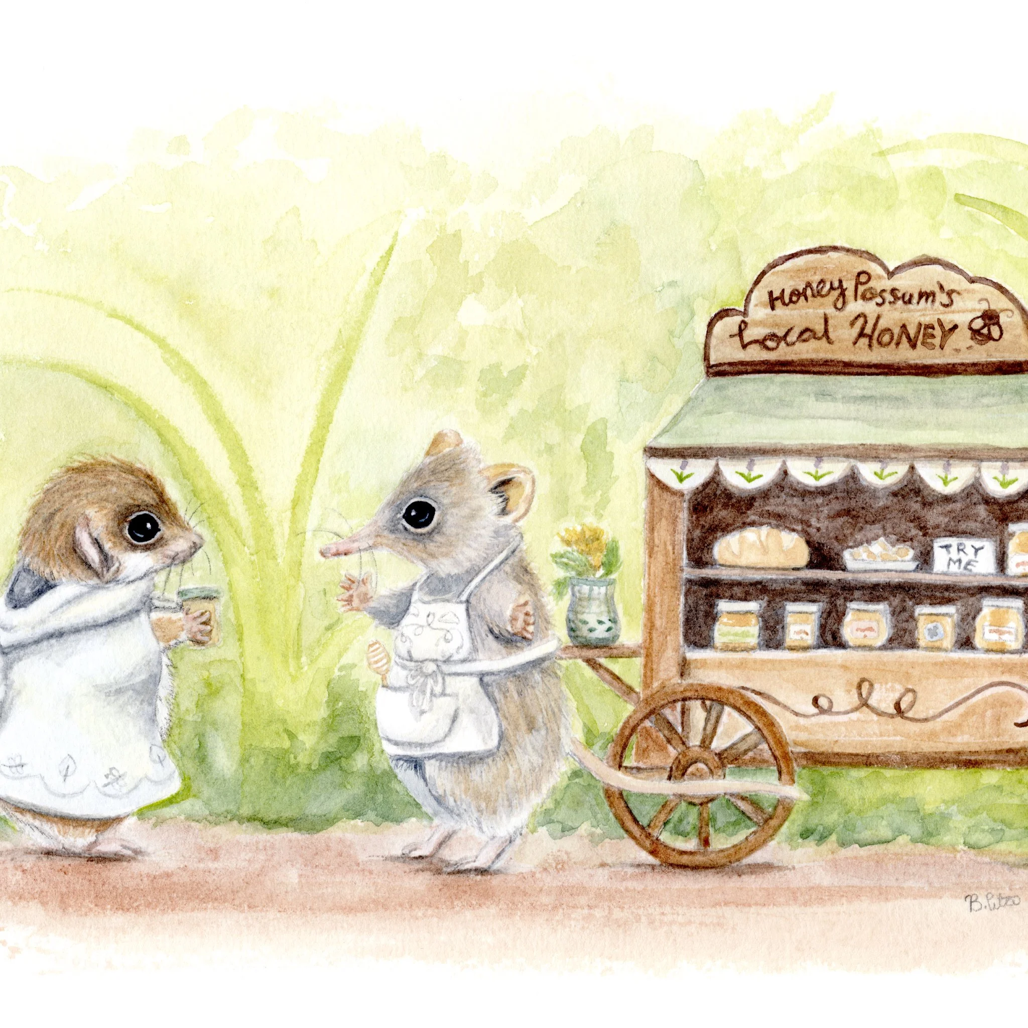 honey-possum-western-pygmy-possum-art-honeypaw workshop-2-new.jpg