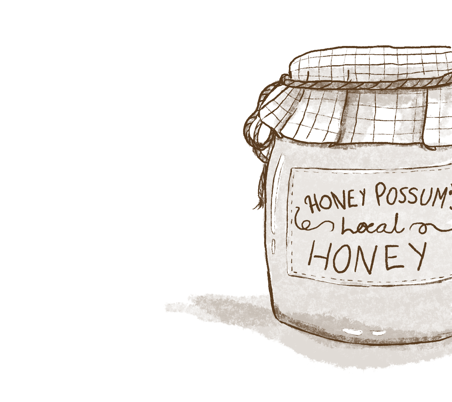 honey-possums-local-honey-jar-sketch