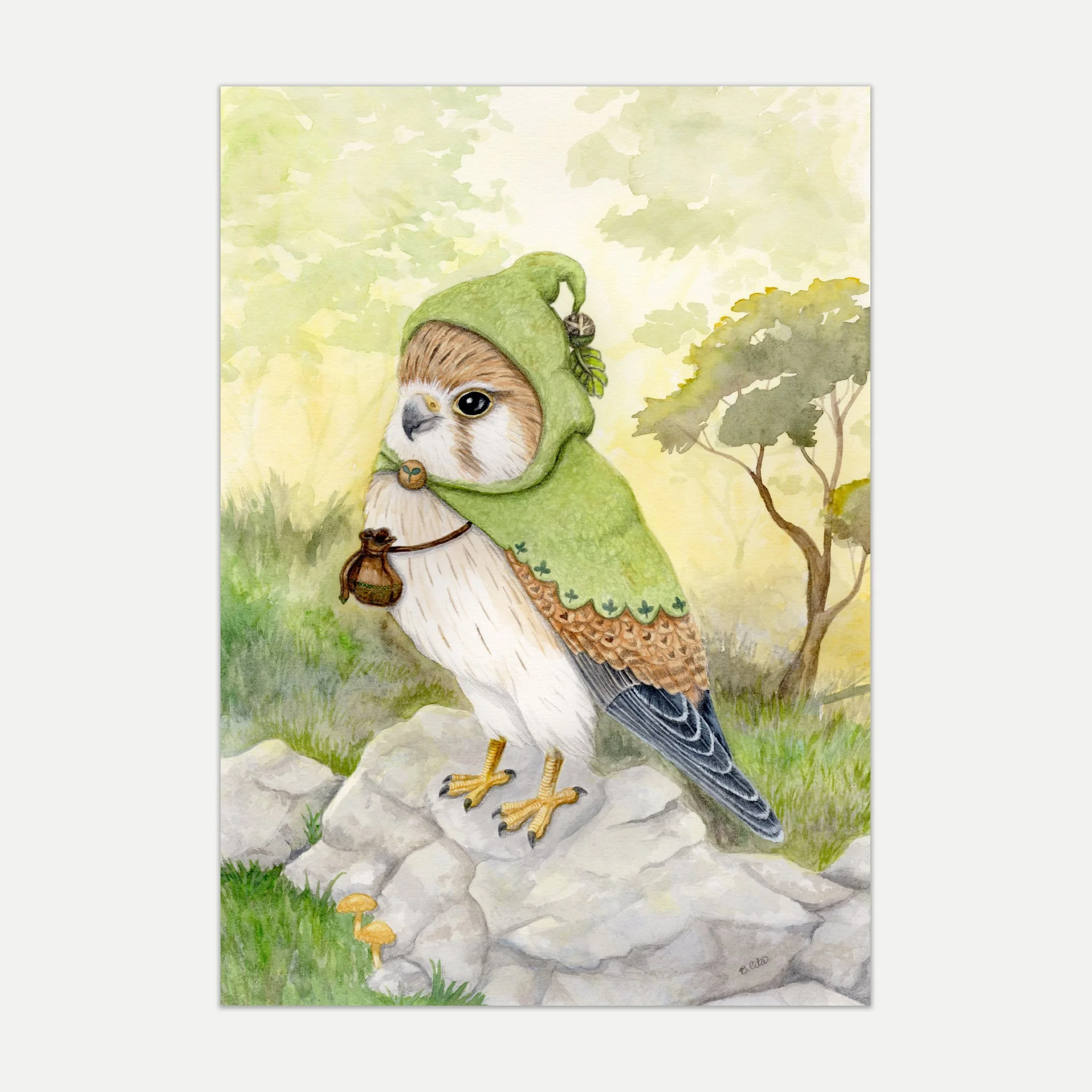 Nankeen Kestrel Falcon A4 Print