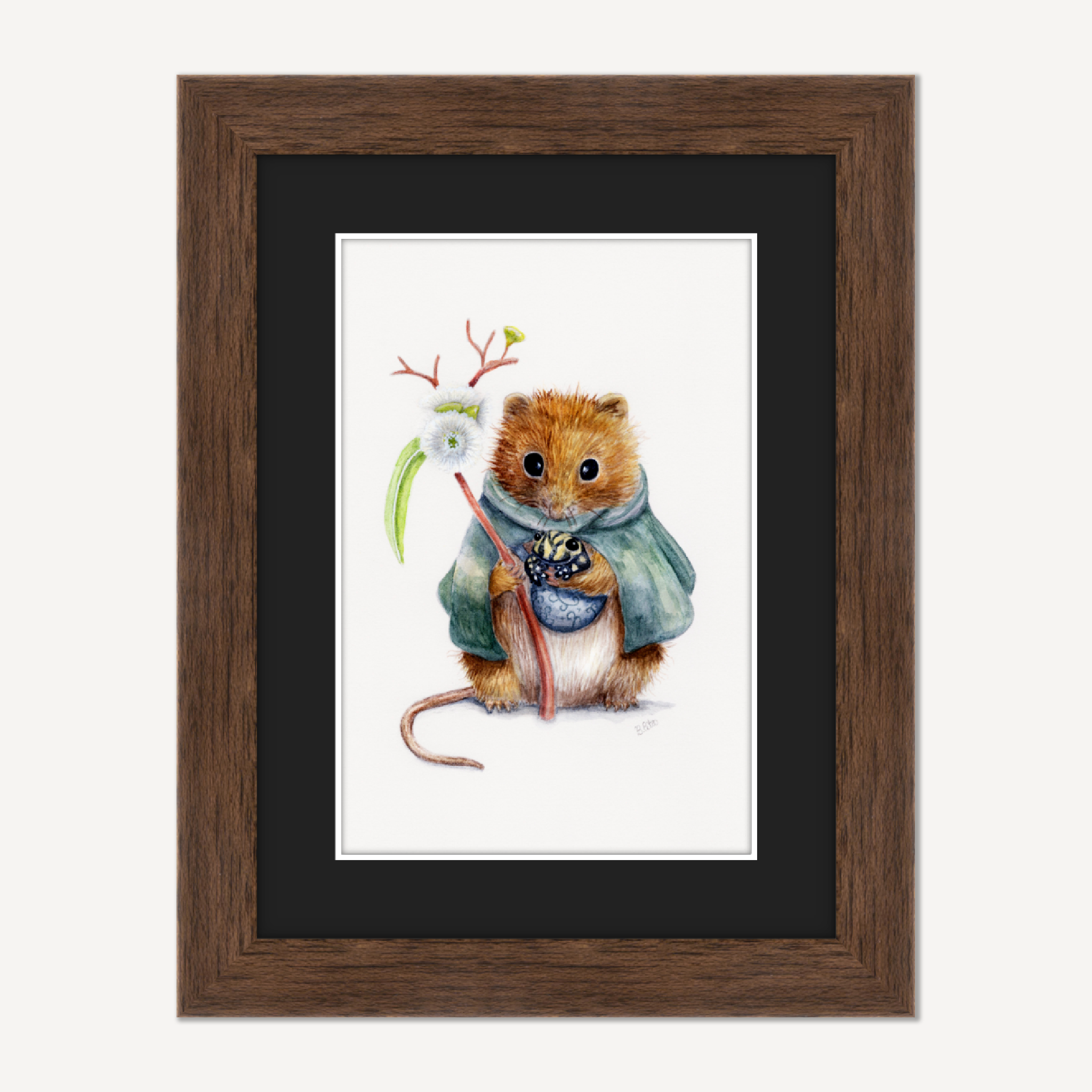 Southern Corroboree Frog and a Broad-toothed Rat - Pygmy Wombat holding a Snow Gum Branch from the Snowy Mountains Watercolour in a frame