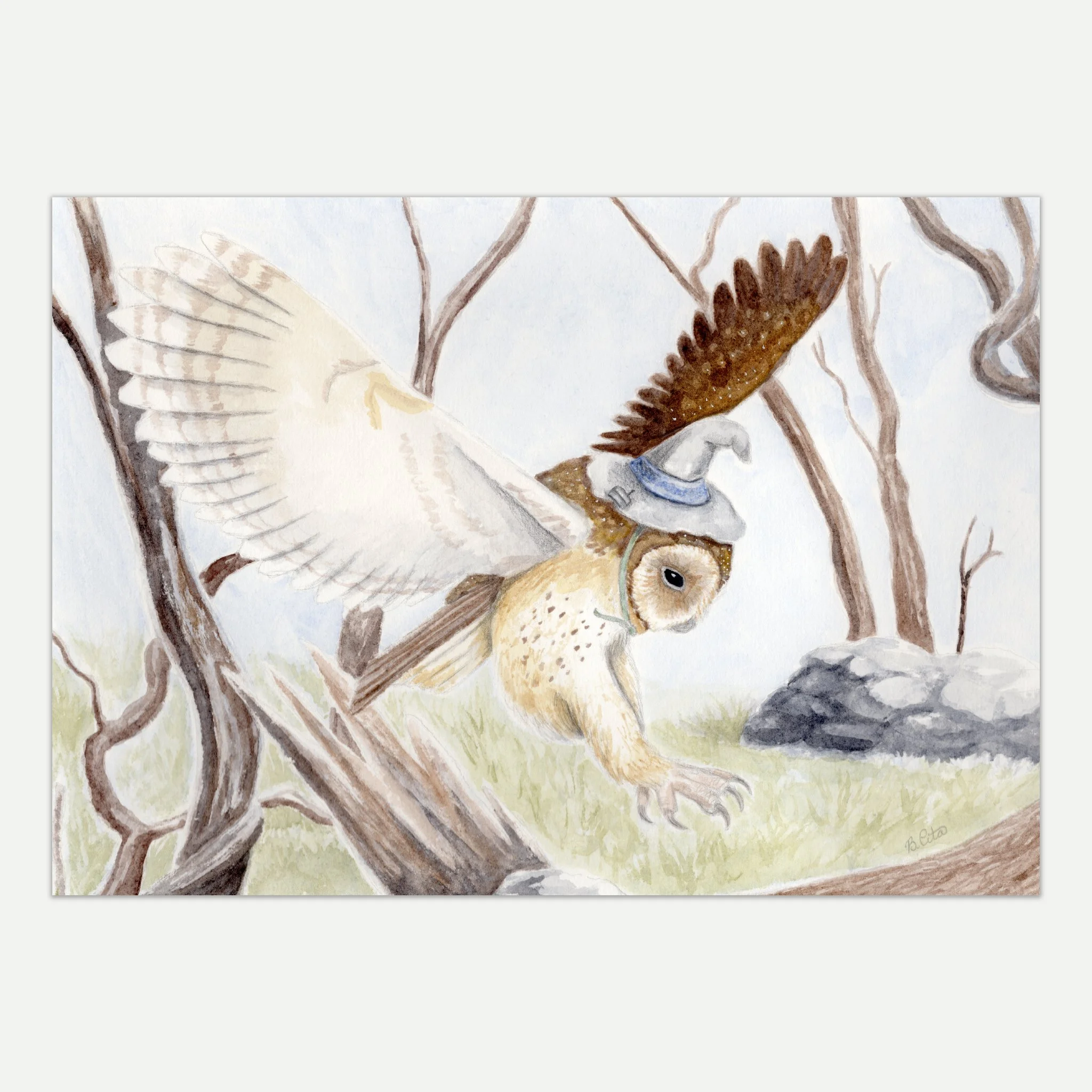 Tasmanian Masked Owl A4 Print
