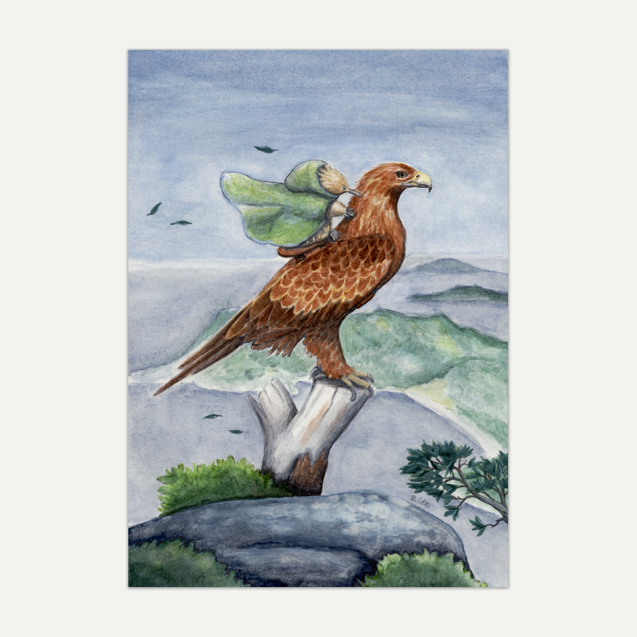 Short-beaked Echidna and Wedge-tailed Eagle at Freycinet Tasmania A4 Print