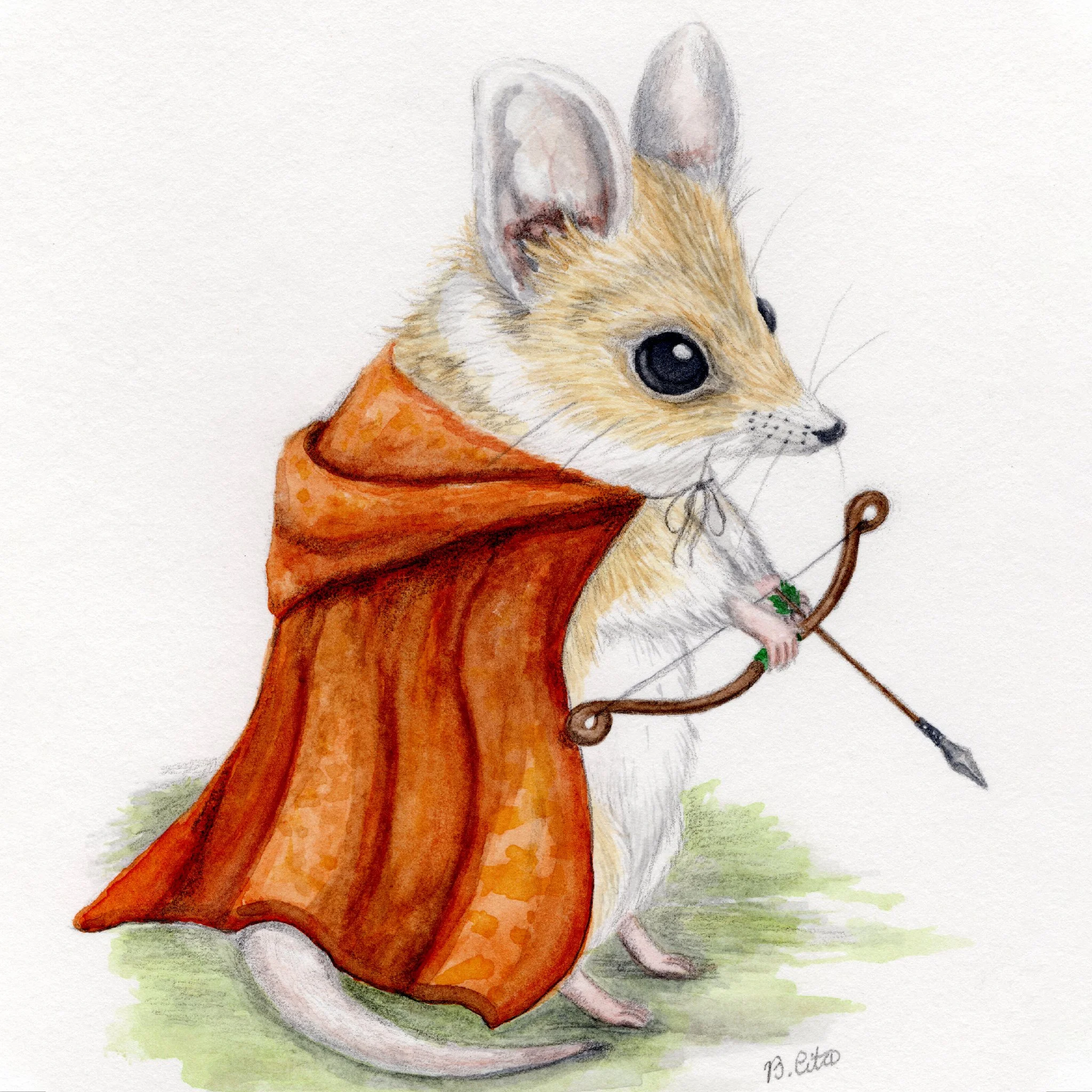 Fat Tailed Dunnart-2.jpg