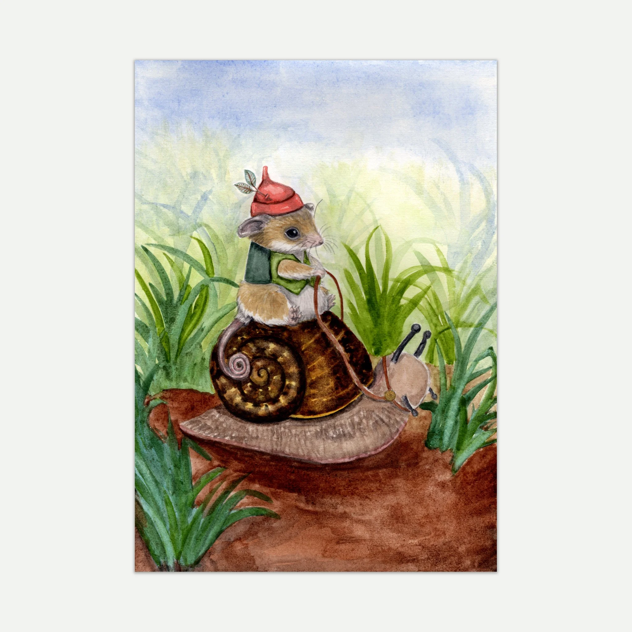 Western Pygmy Possum and Giant Panda Snail A4 Print