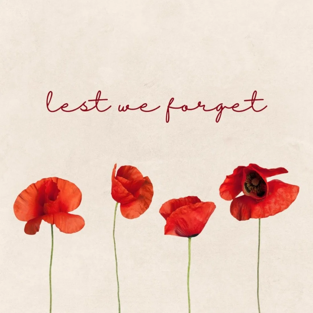 Today we remember and honour those who served our country with courage and sacrifice.
We are forever grateful. 🌹 #RemembranceDay #LestWeForget #CanadaRemembers