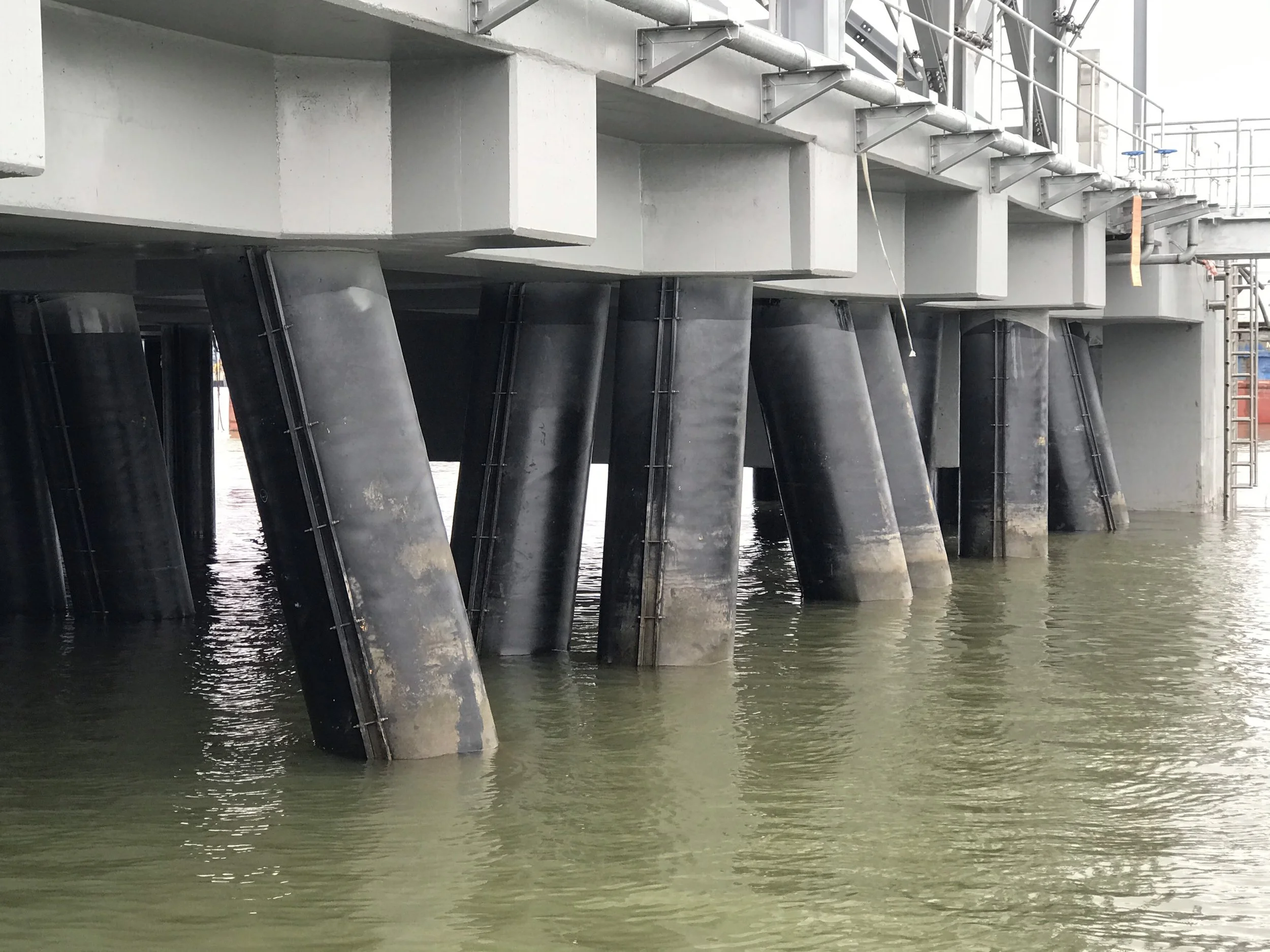 Water waves with three black birds flying above.
