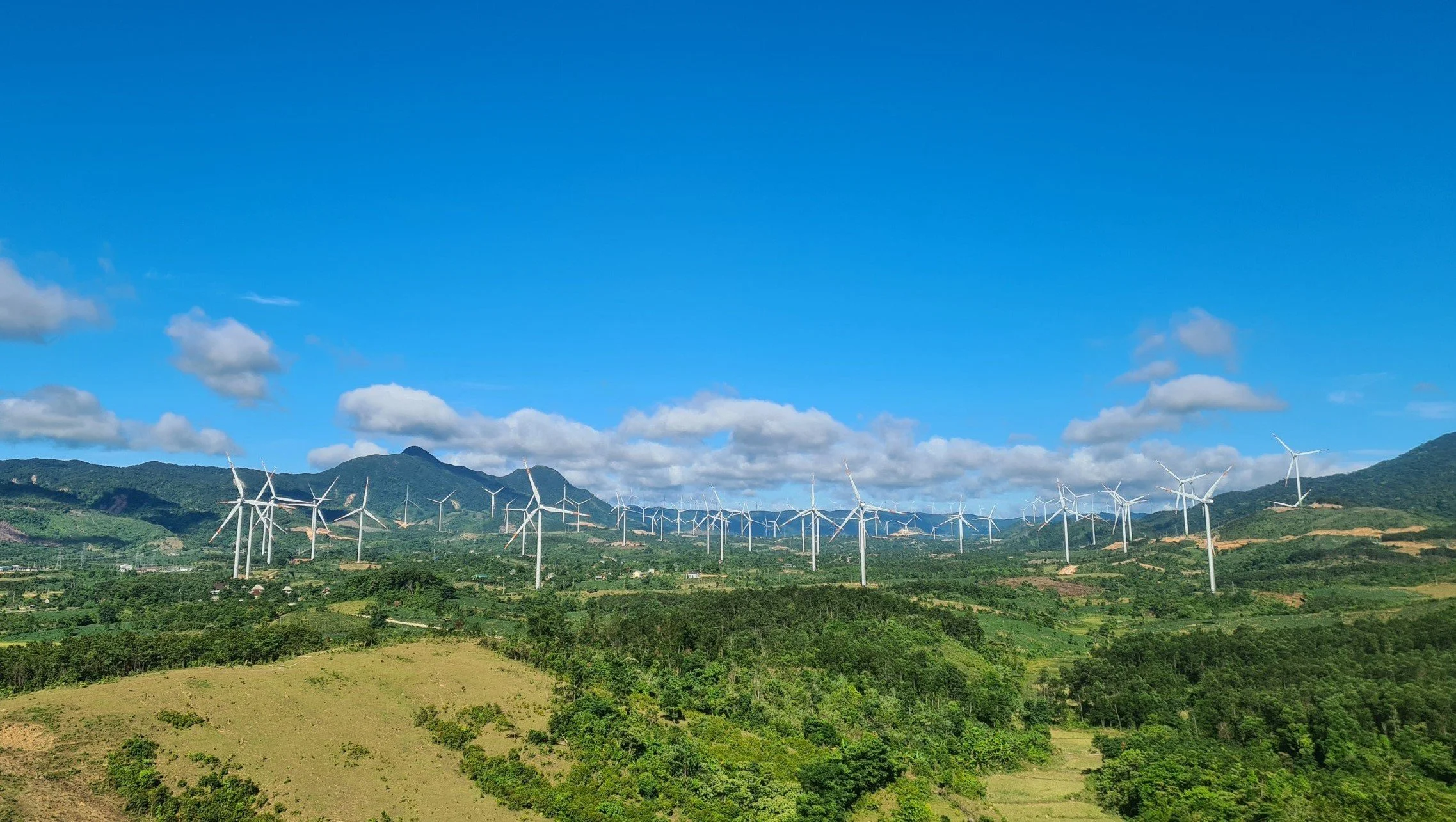 Completed automated drone inspections on onshore turbine blades with AI analysis and expert defect assessment.
