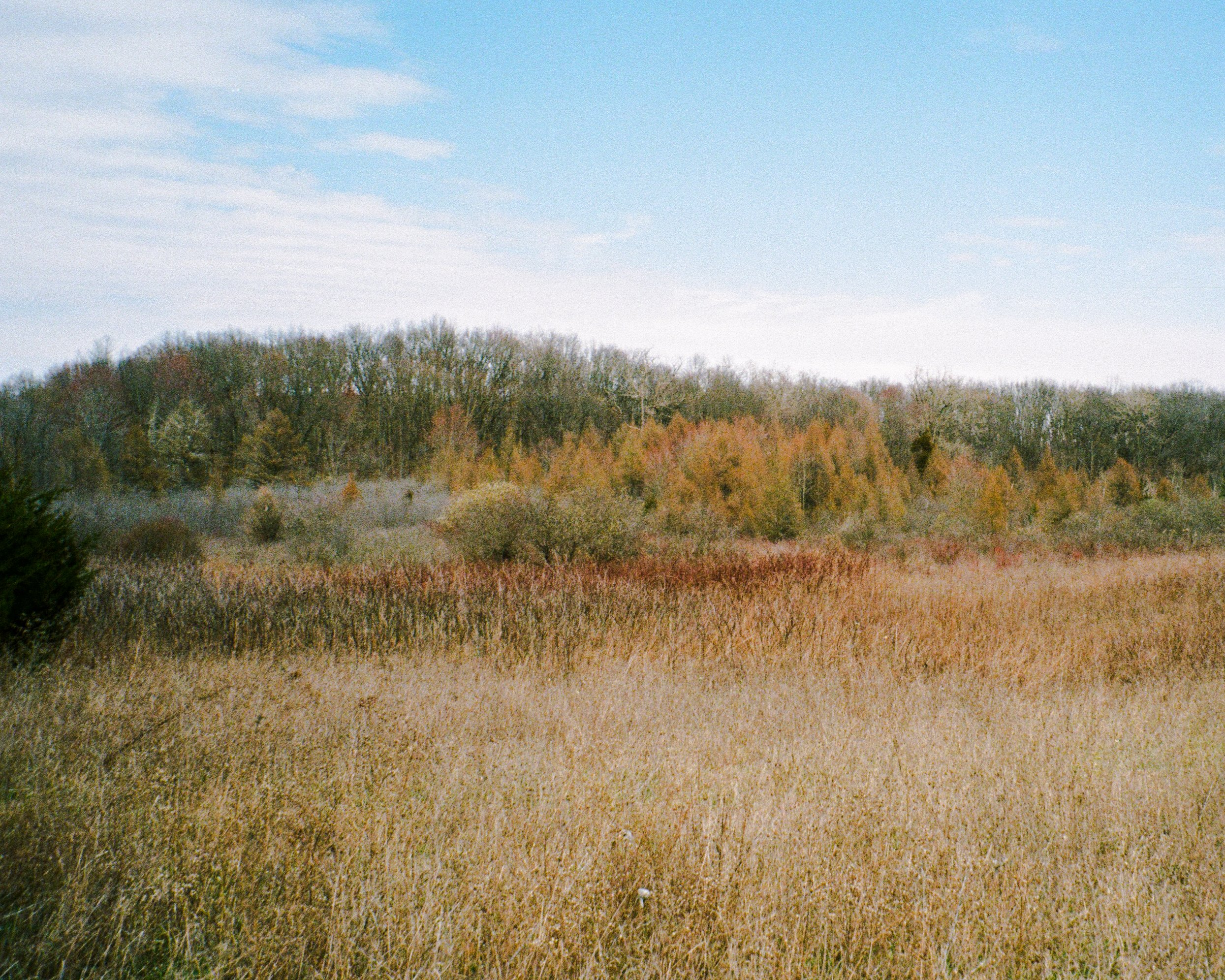 Field 1