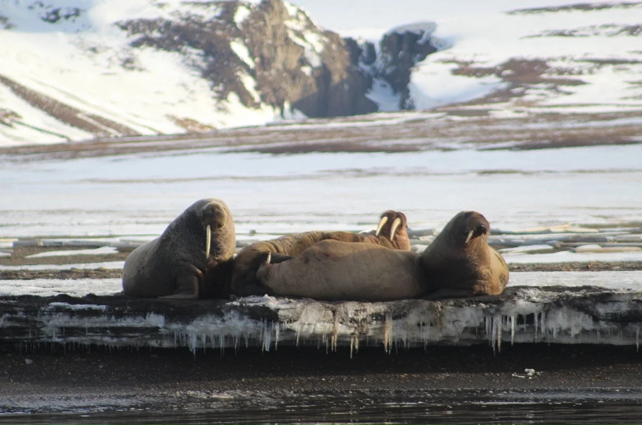 Norway &amp; Svalbard