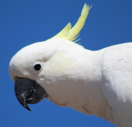 b8.png