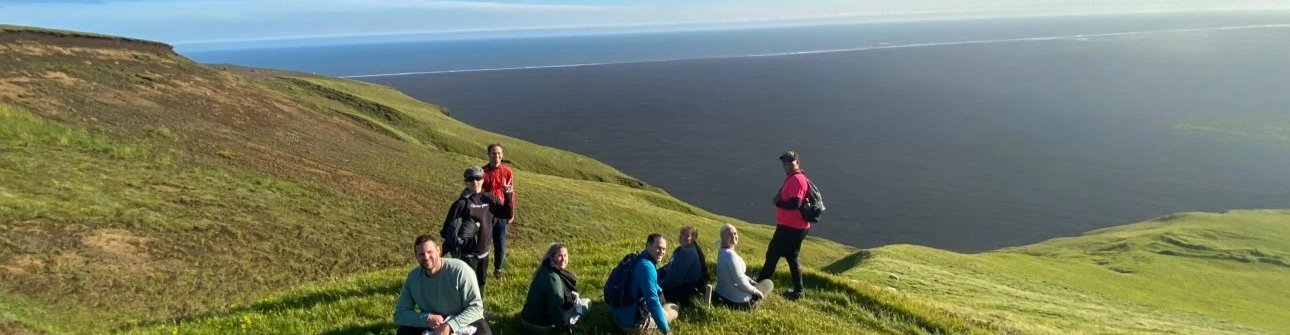 Group of young people hiking on a green hill at Hjörleifshöfði with a jet-black sand beach in the background.