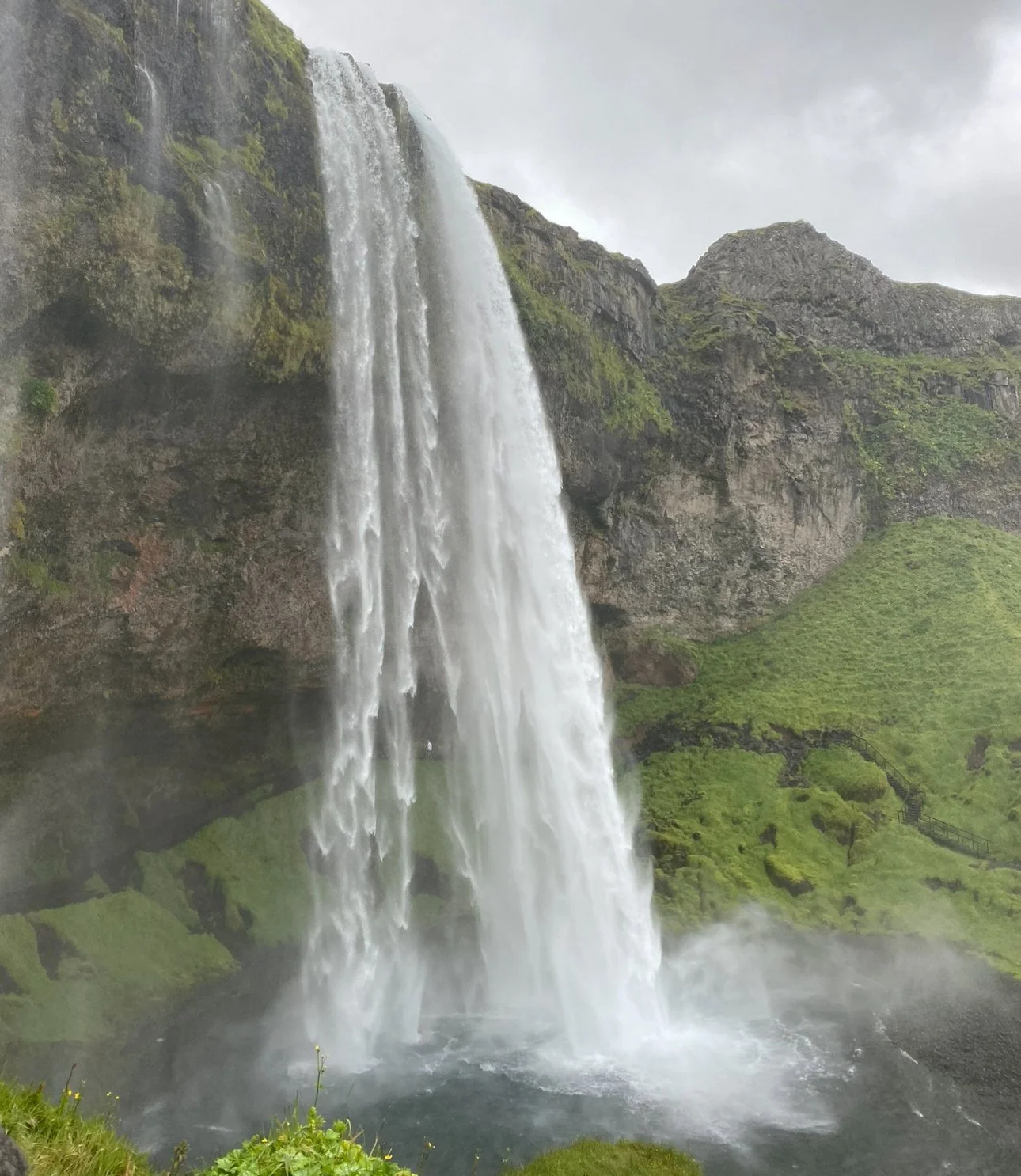Seljalandsfoss waterfall in Iceland with water cascading over a cliff and surrounding greenery.