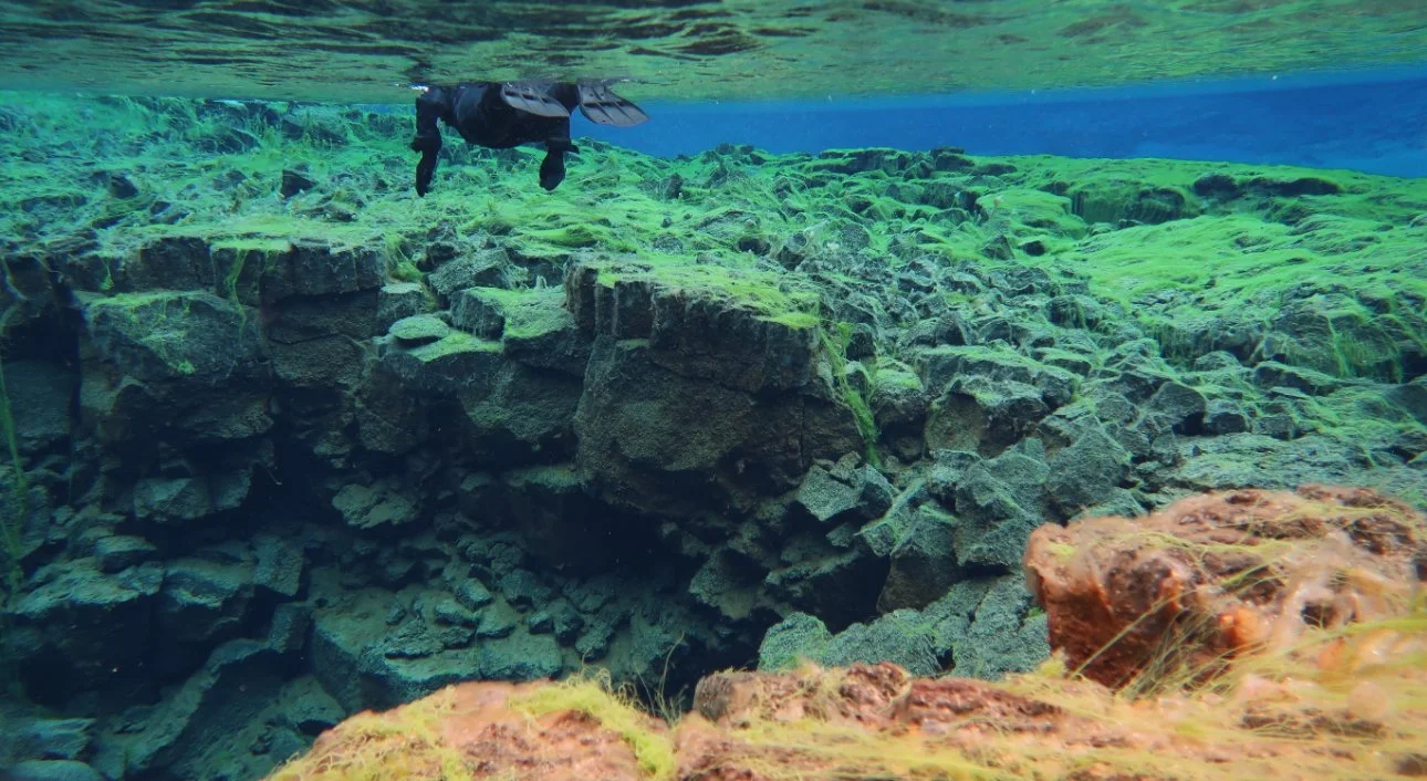 Snorkeler exploring the clear, blue waters of Silfra Fissure in Iceland, between two tectonic plates.