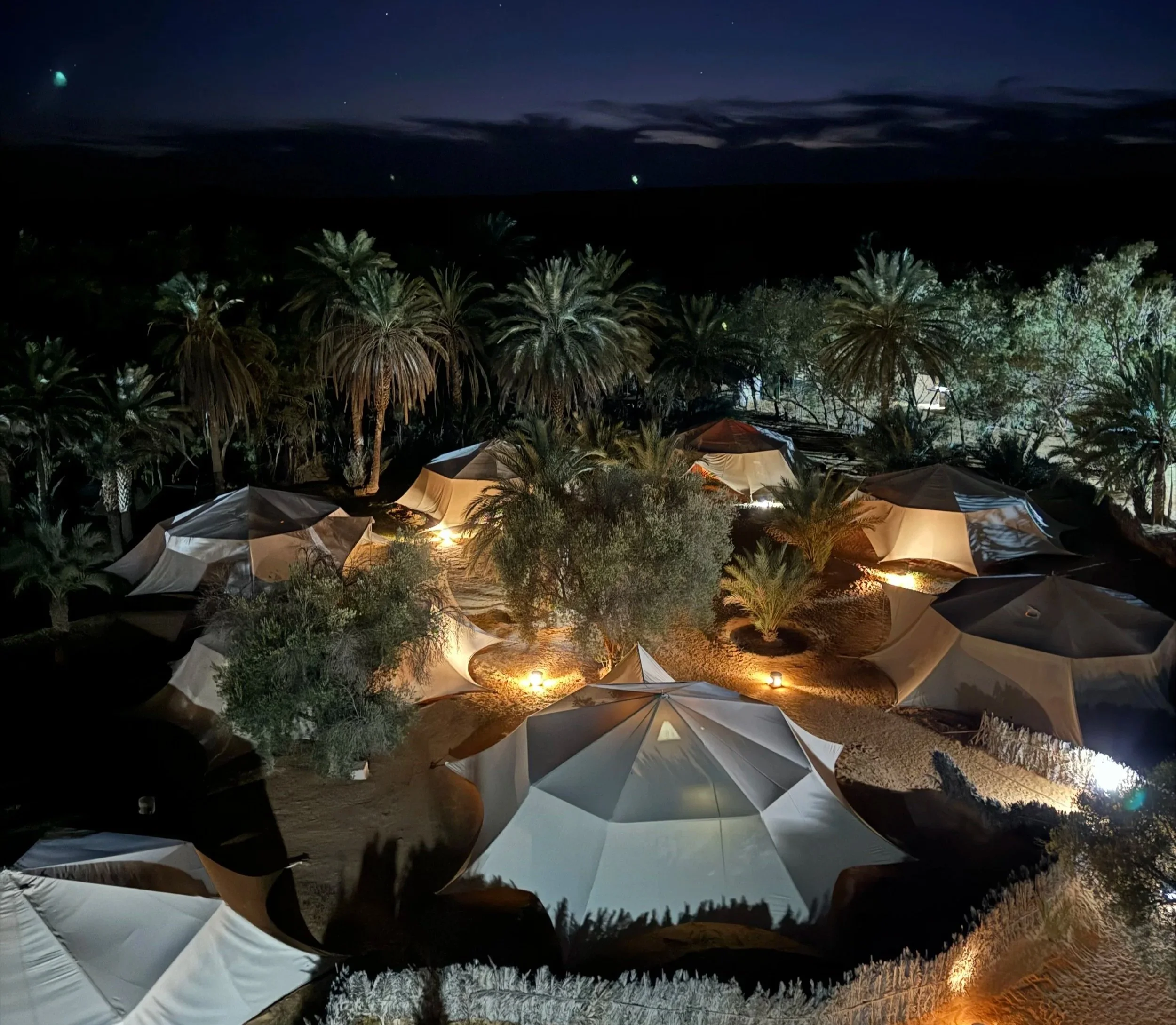 Glamping tents in the Sahara Desert at night, surrounded by palm trees under a sky filled with stars.