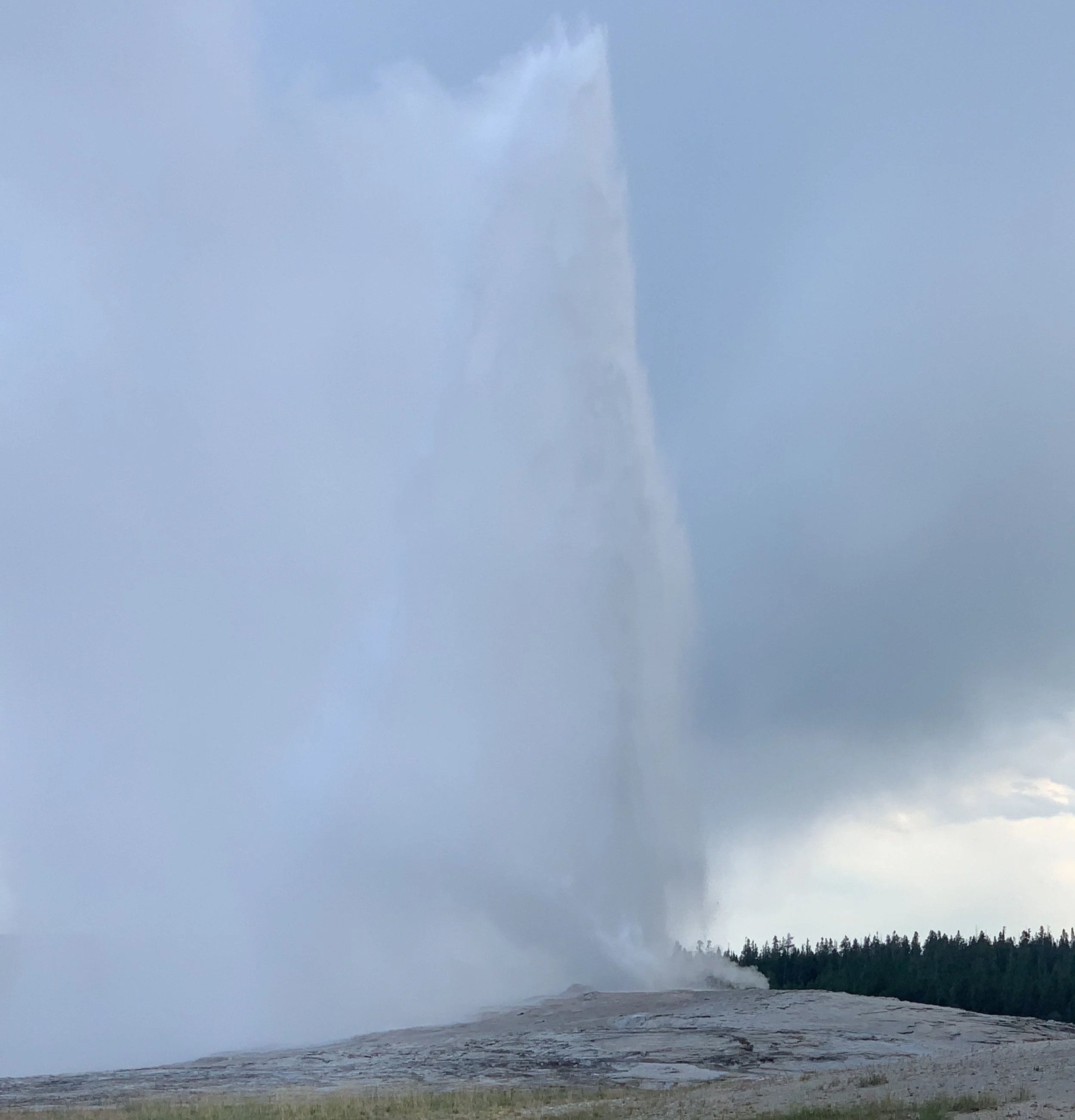 Old Faithful geyser erupting in Yellowstone National Park, shooting a plume of steam and water into the sky.