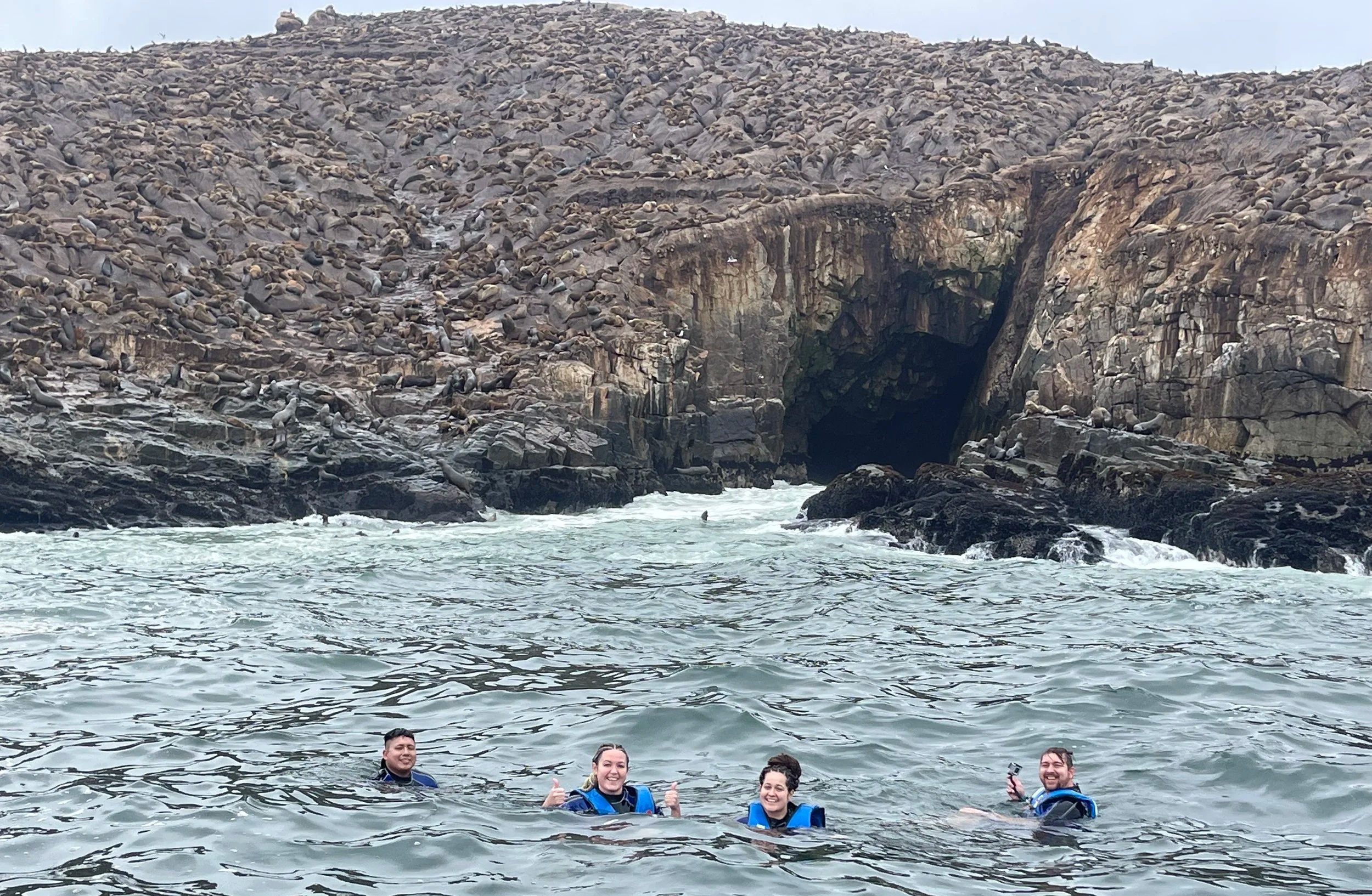 Swimming with sea lions lima Peru mar adentro cold water