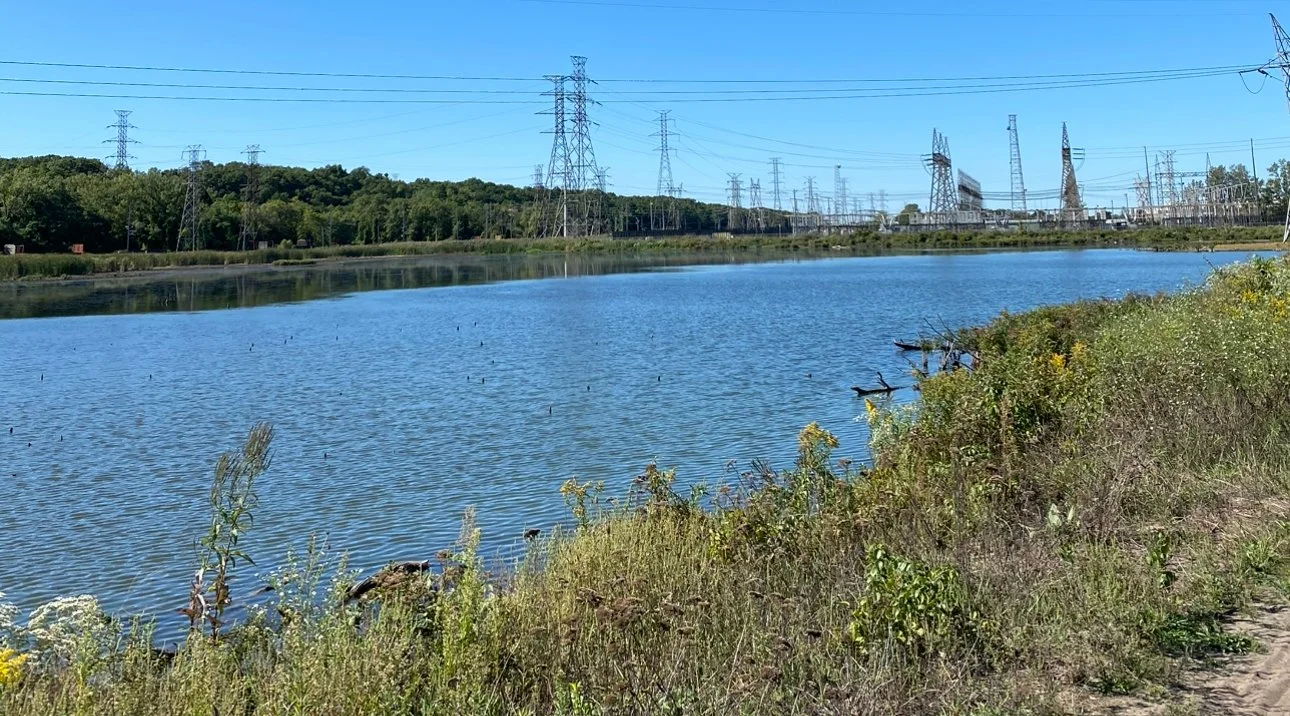 pond electrical wires hike
