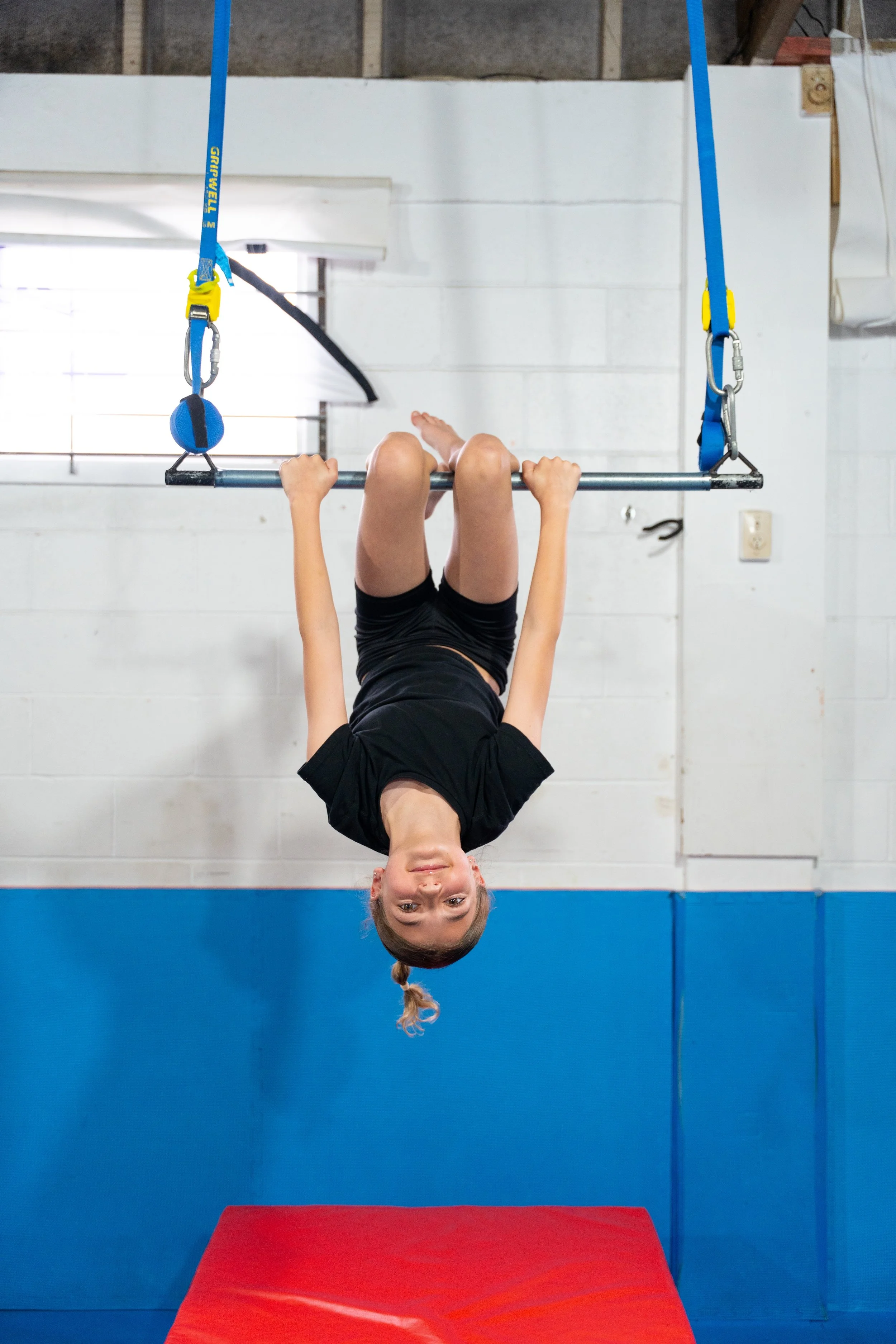 Zevera hanging upside down.jpg