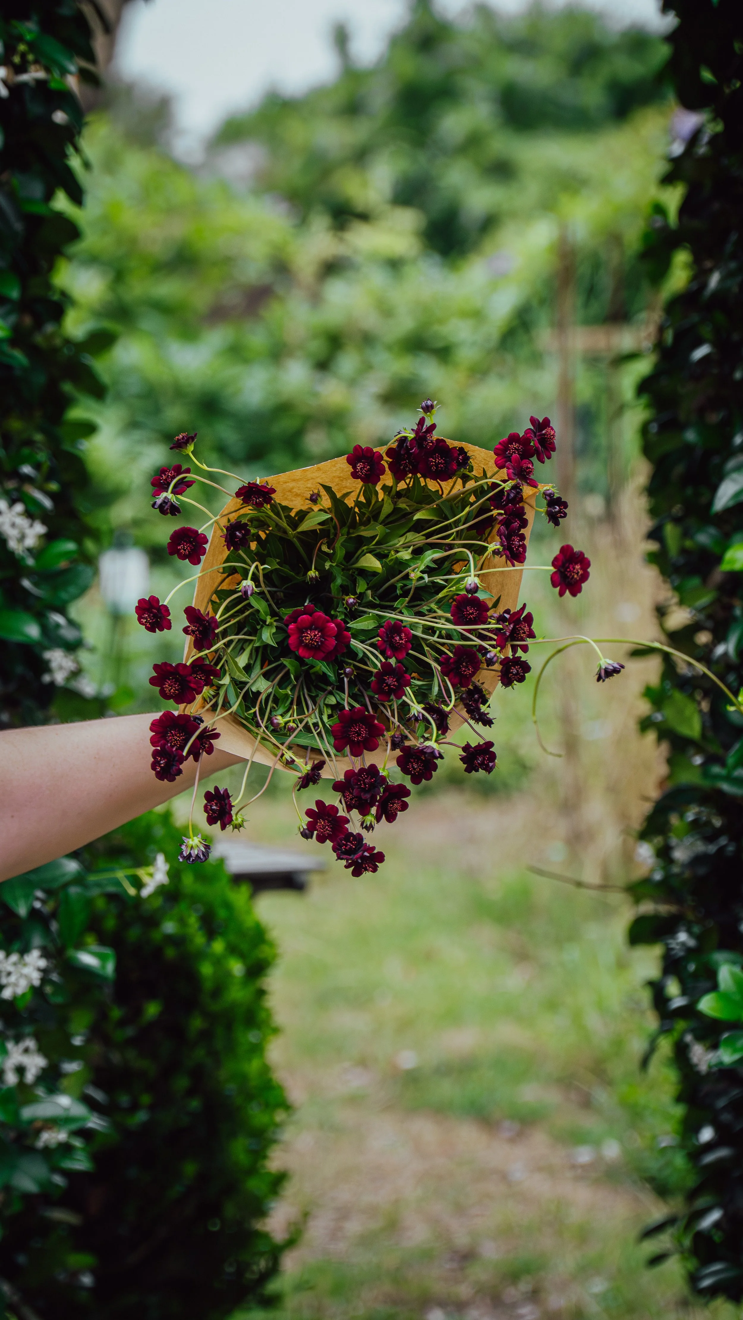 Several potted flowers, including purple and pink blossoms, placed against a white wall with horizontal panels.