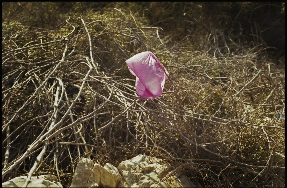 ESK_Sarande27.jpg