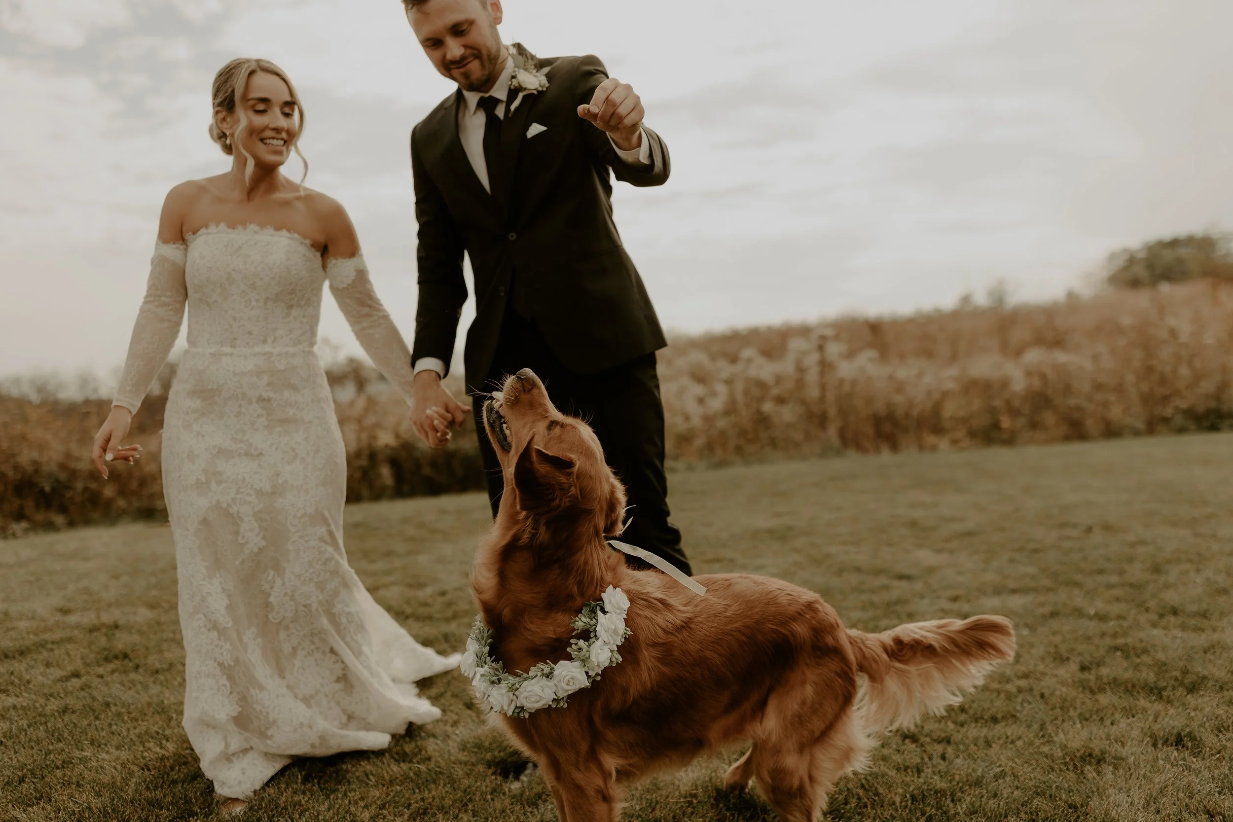 A bride and groom holding hands with a golden retriever dog outdoors on a grassy field, with the dog wearing a flower wreath, during a wedding celebration.
