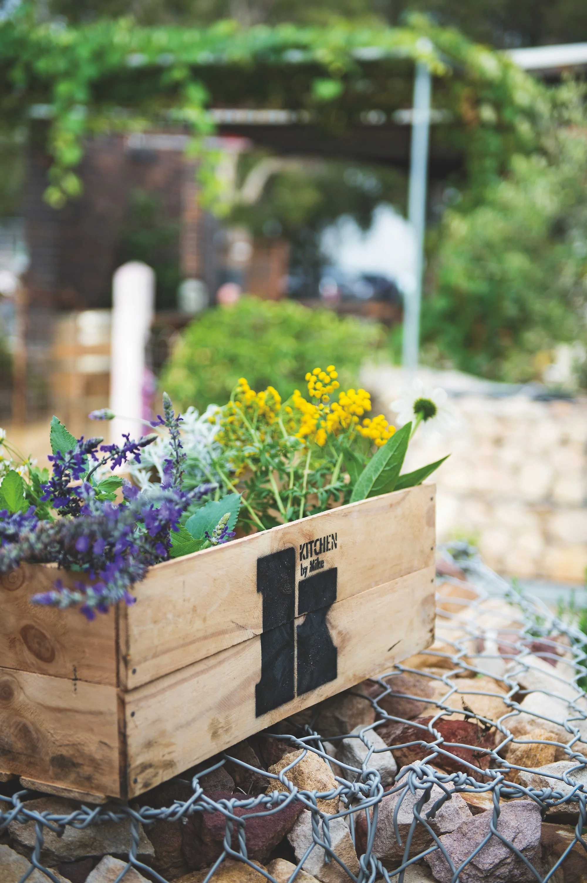 20140112-_DSC5116 copy.jpg