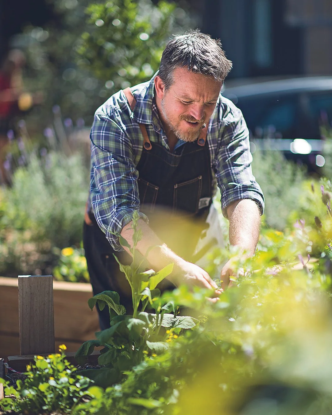 A man wearing a plaid shirt and apron gardening in a backyard.