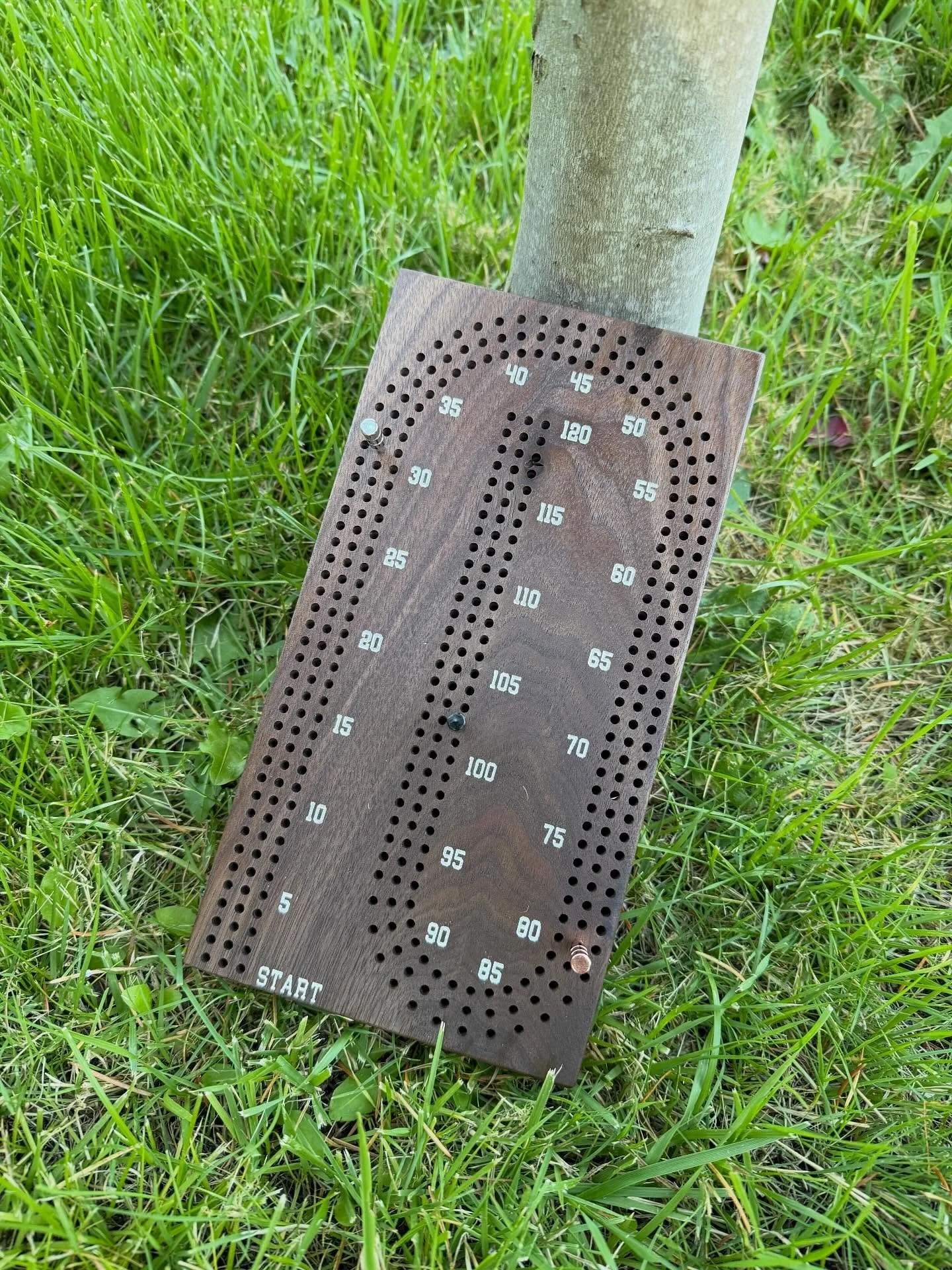 Been wanting to make a clean, classic cribbage board &mdash; this walnut one turned out just right.

CNC-cut, hand-sanded, and finished smooth. The walnut grain comes out beautiful in person.

Includes pegs, ready to play.

#cribbage #woodworking #wa