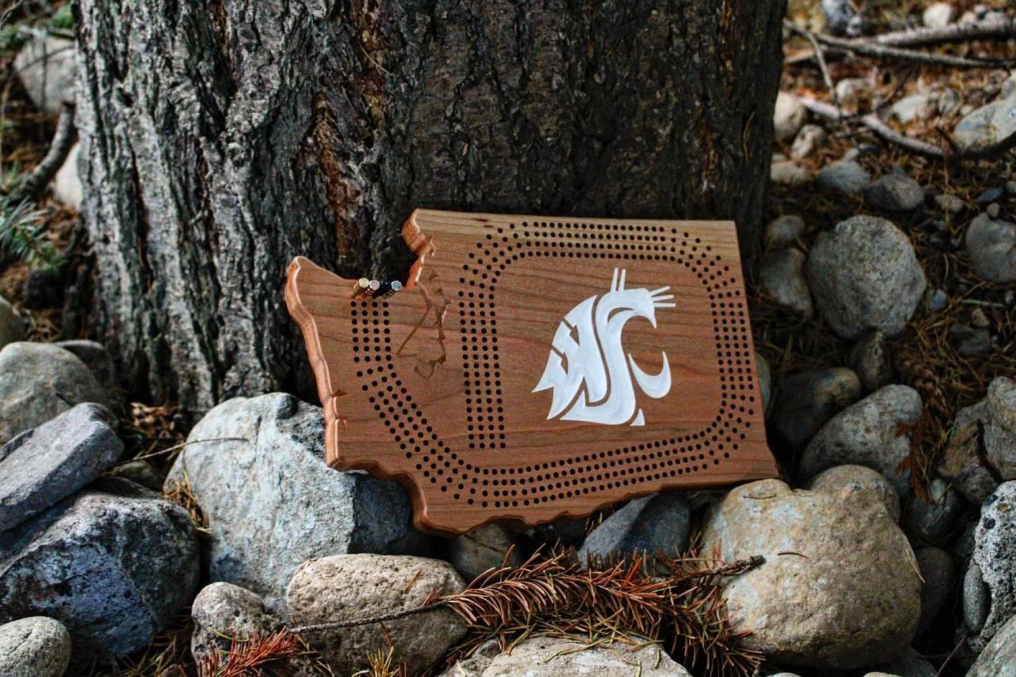 A bespoke cribbage board a client gifted for Christmas. Whatever you envision, I can craft it.