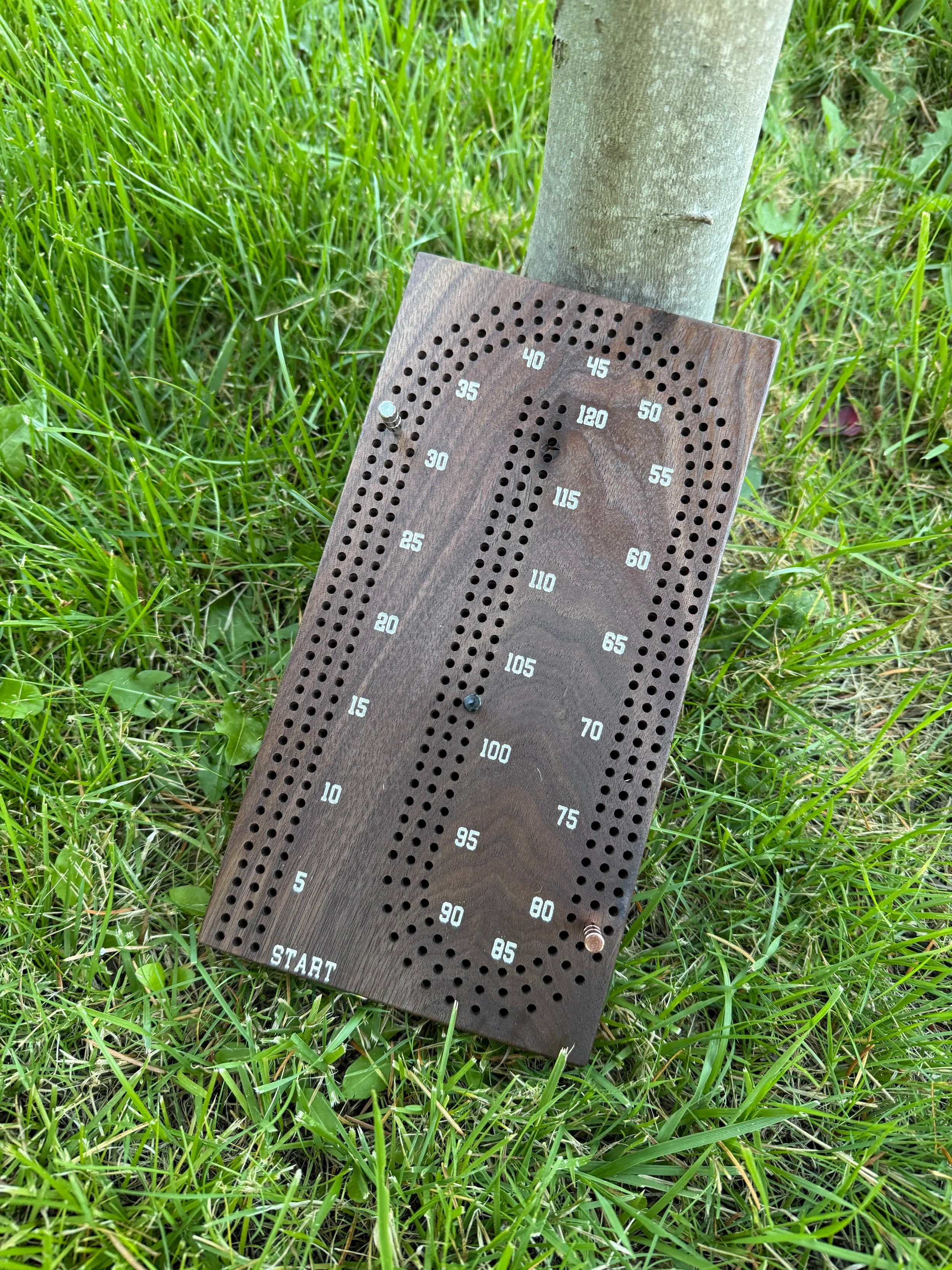 Walnut Cribbage Board