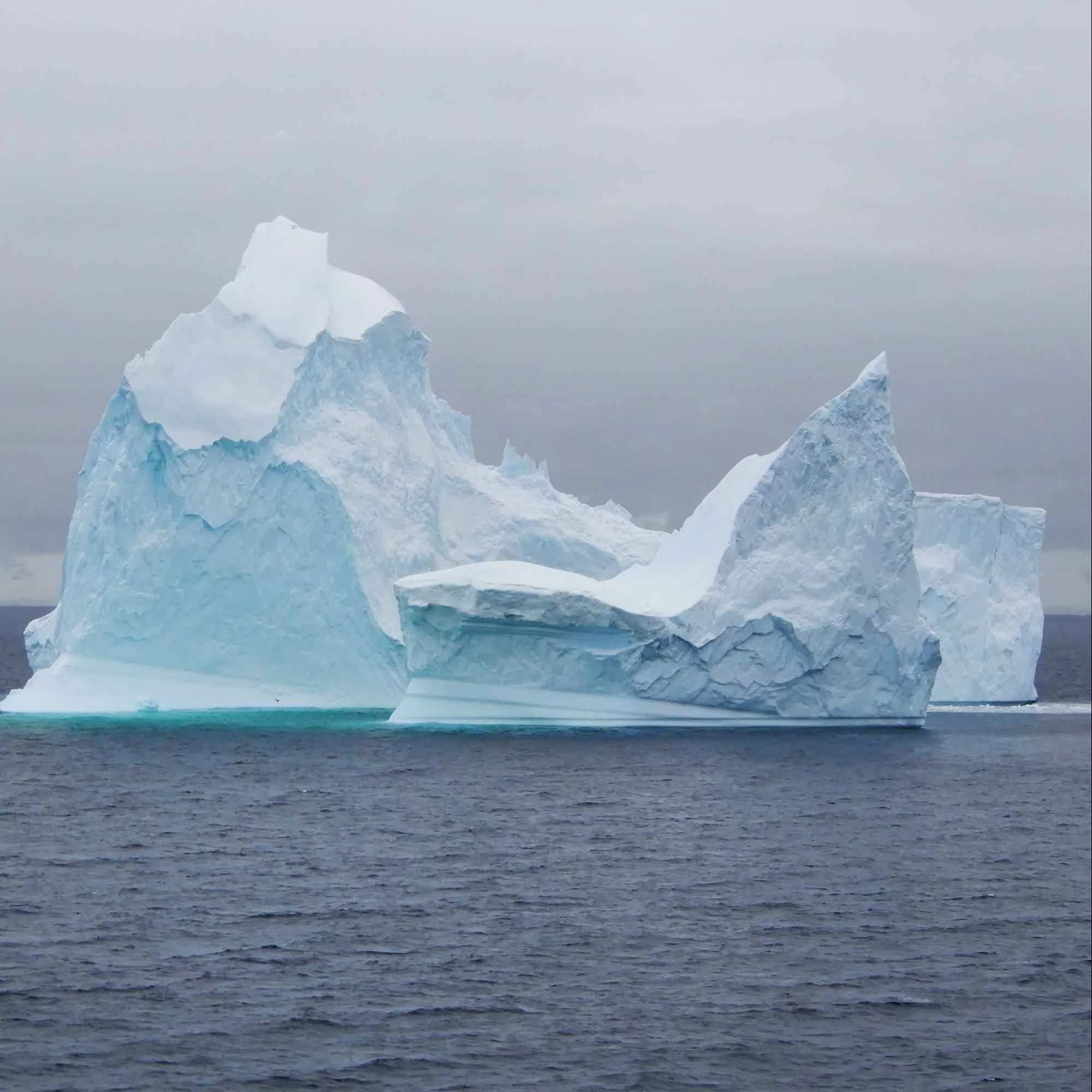 Antarctica Cruise