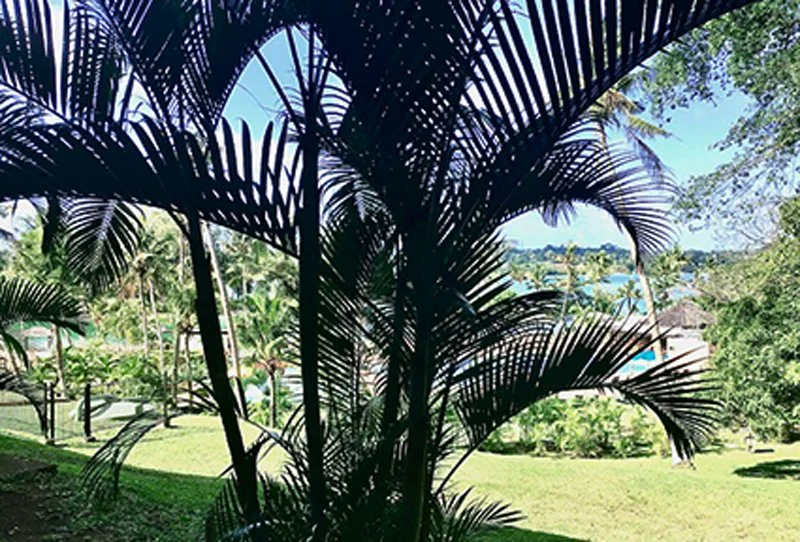 Holiday Inn, Port Vila, Vanuatu. Our room with a poorly described view.