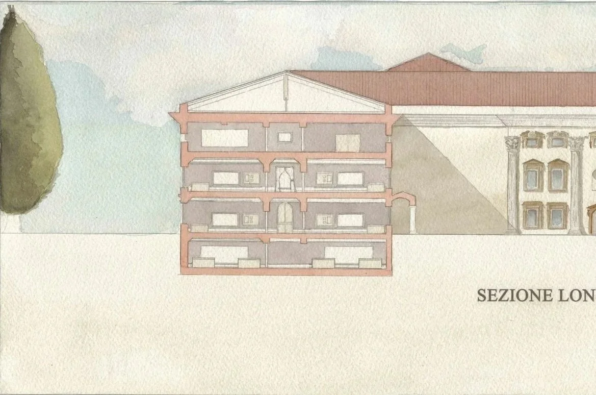 Longitudinal Section.