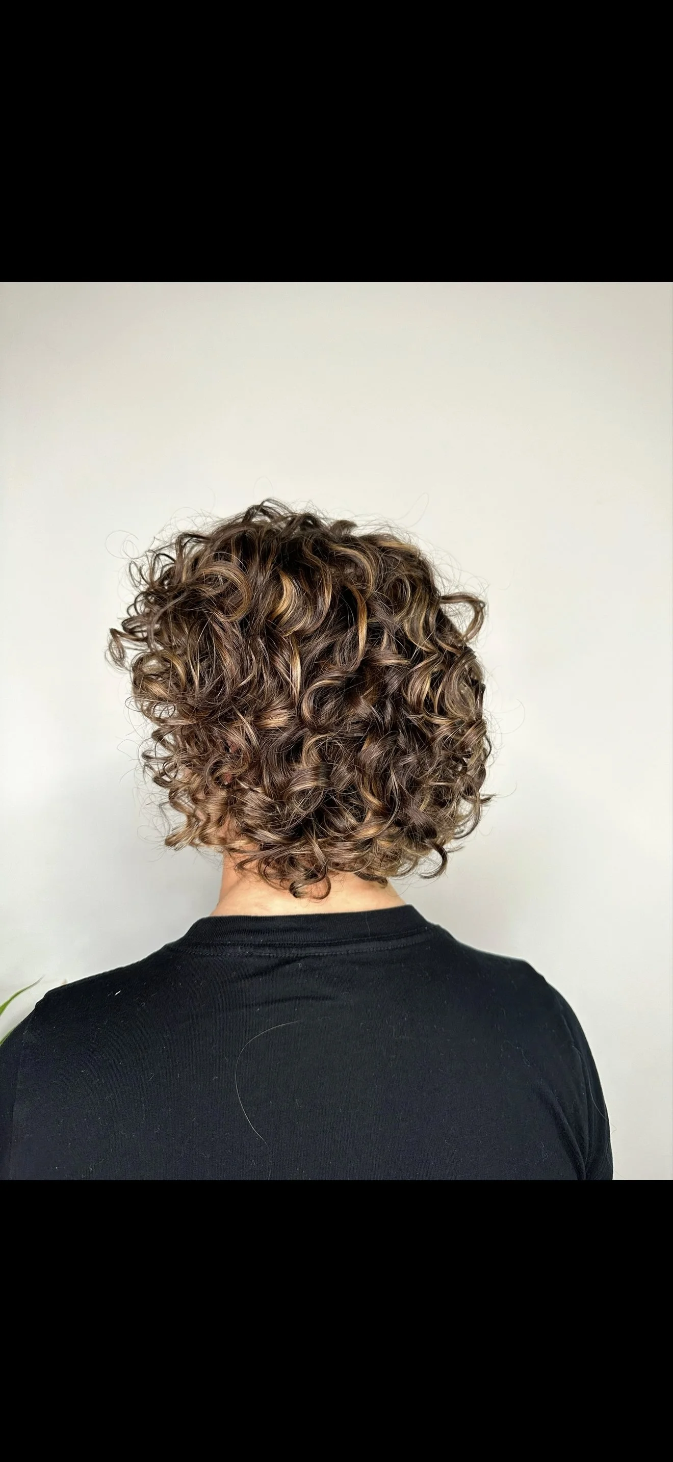 Back view of a person with short, curly brown hair with lighter highlights, wearing a black shirt.