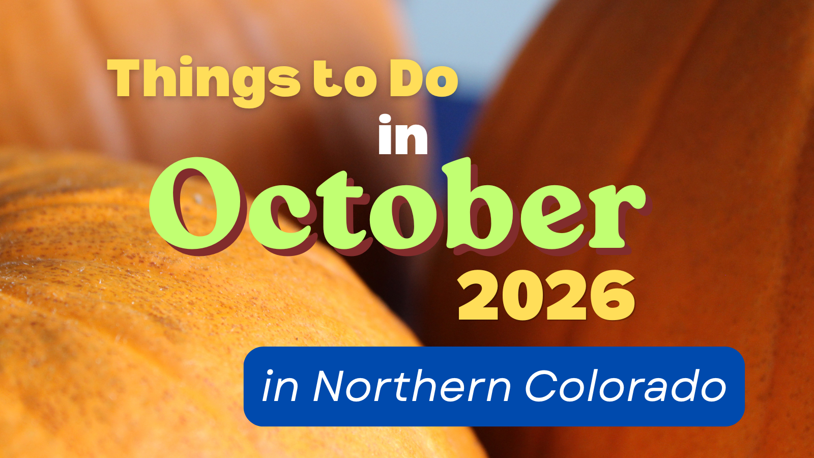 close up image of some pumpkins with the words things to do in october 2026 in northern colorado overlaid