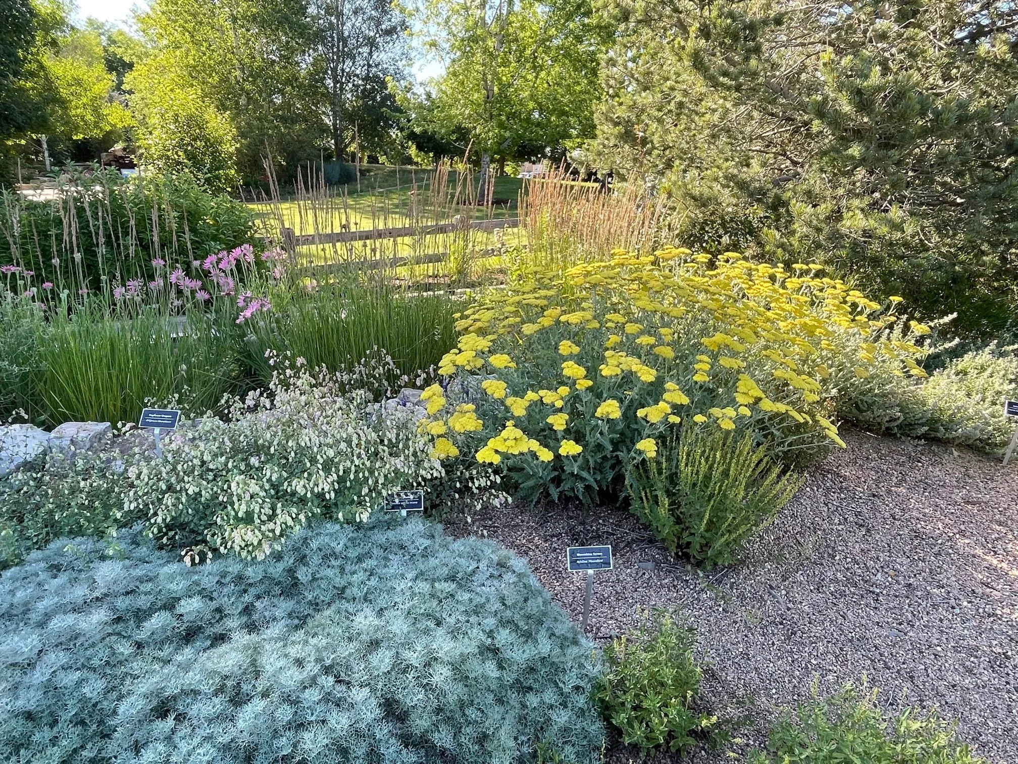 photo of the northern water demonstration garden with many beautiful plants on display give ideas of what plants can be used in water wise landscaping