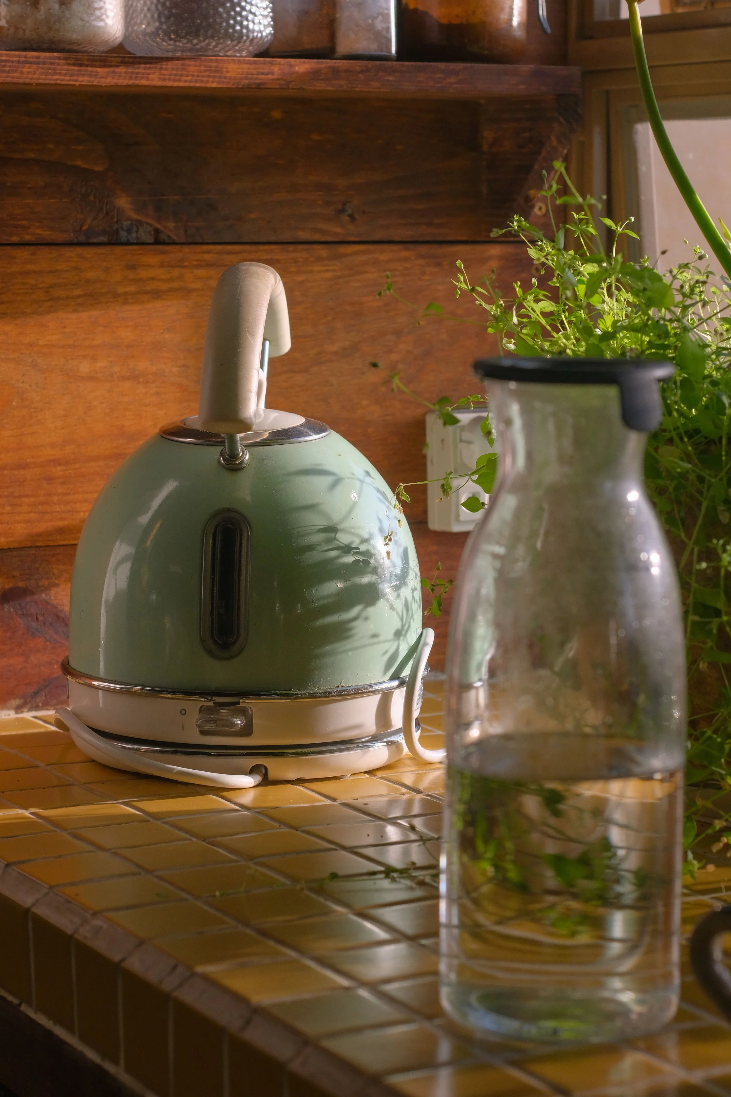 an electric tea kettle, a plant, and a glass bottle of water sit atop a yellow tile countertop