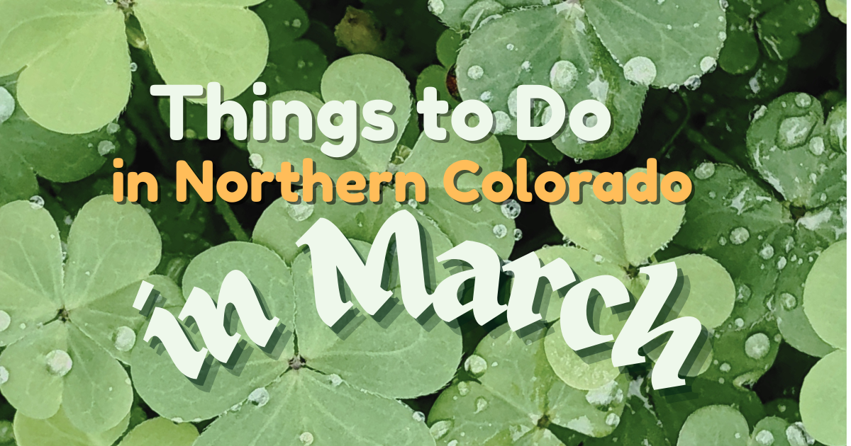 the words things to do in northern colorado in march over a bed of three leaf clovers