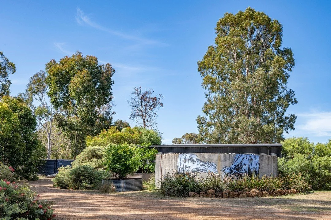 Our blind ladies grazing as you arrive... Welcome to your glamping escape! 🐄✨

#GlampingLife #Welcome #margaretriver