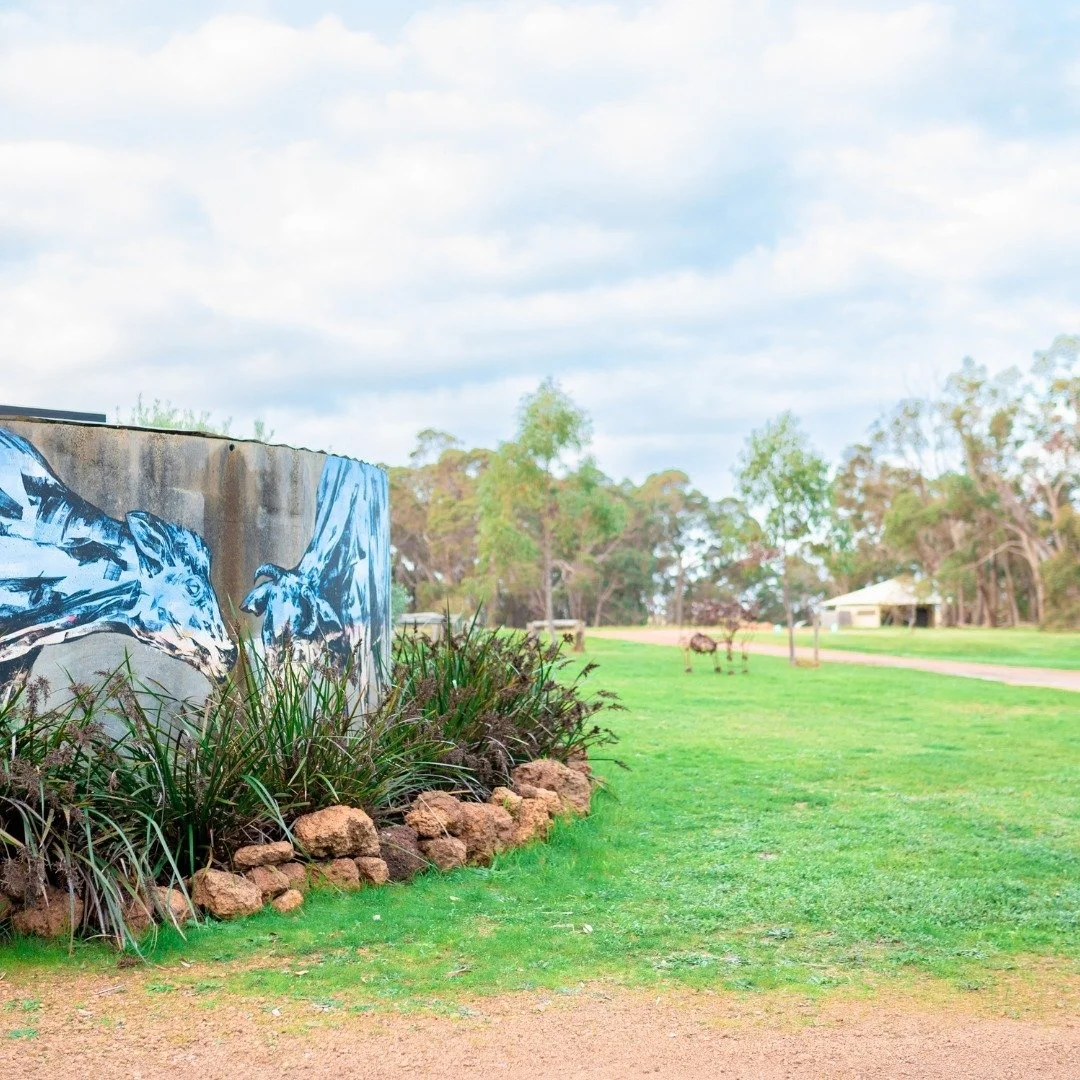 Capturing the spirit of Two Blind Cows, forever immortalised by the incredible artistry of James Giddy. A tribute to the essence of our sanctuary. 🎨🐮

#TwoBlindCows #margaretriver #southwest #glamping