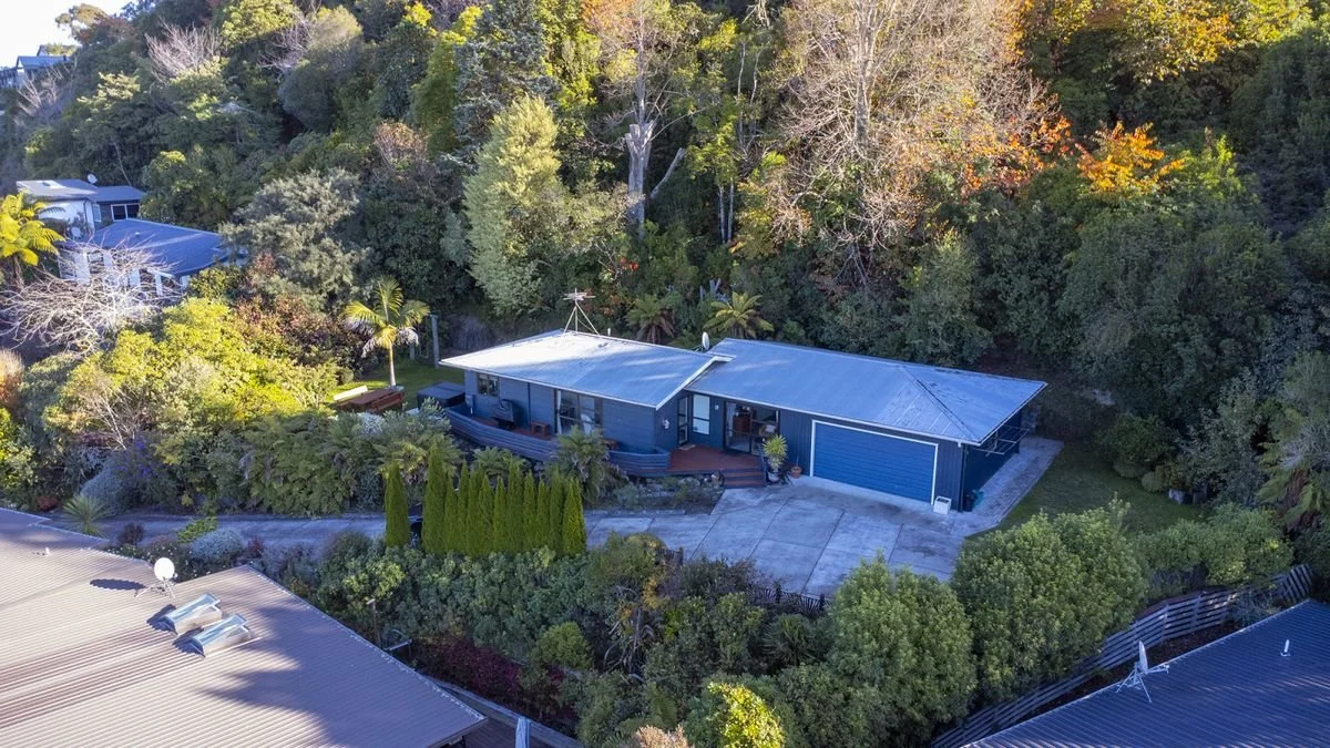Aerial view of a modern blue house with a metal roof surrounded by lush trees and greenery, in a suburban neighborhood.