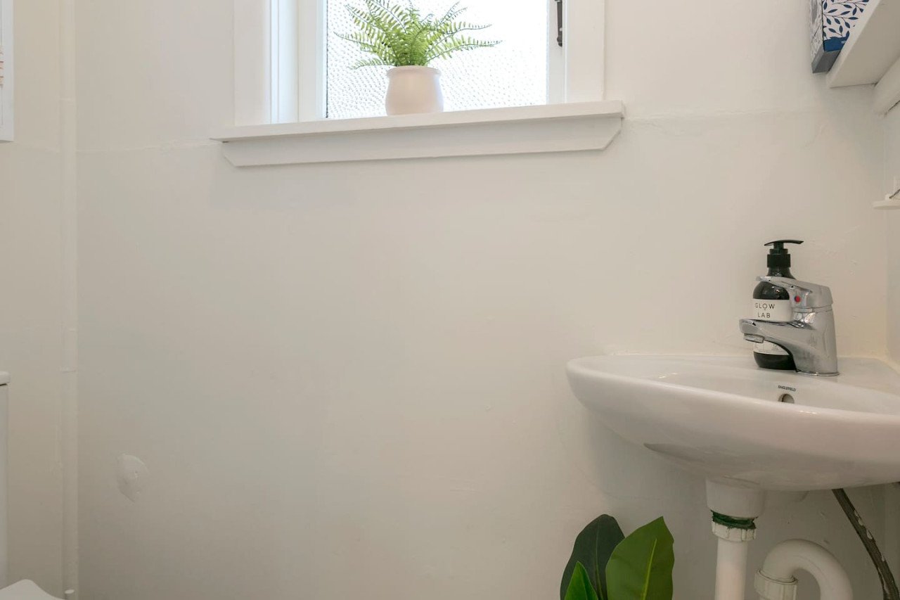 A small white bathroom sink with a silver faucet, green plant in the corner, and window with a fern on the windowsill, surrounded by white walls.