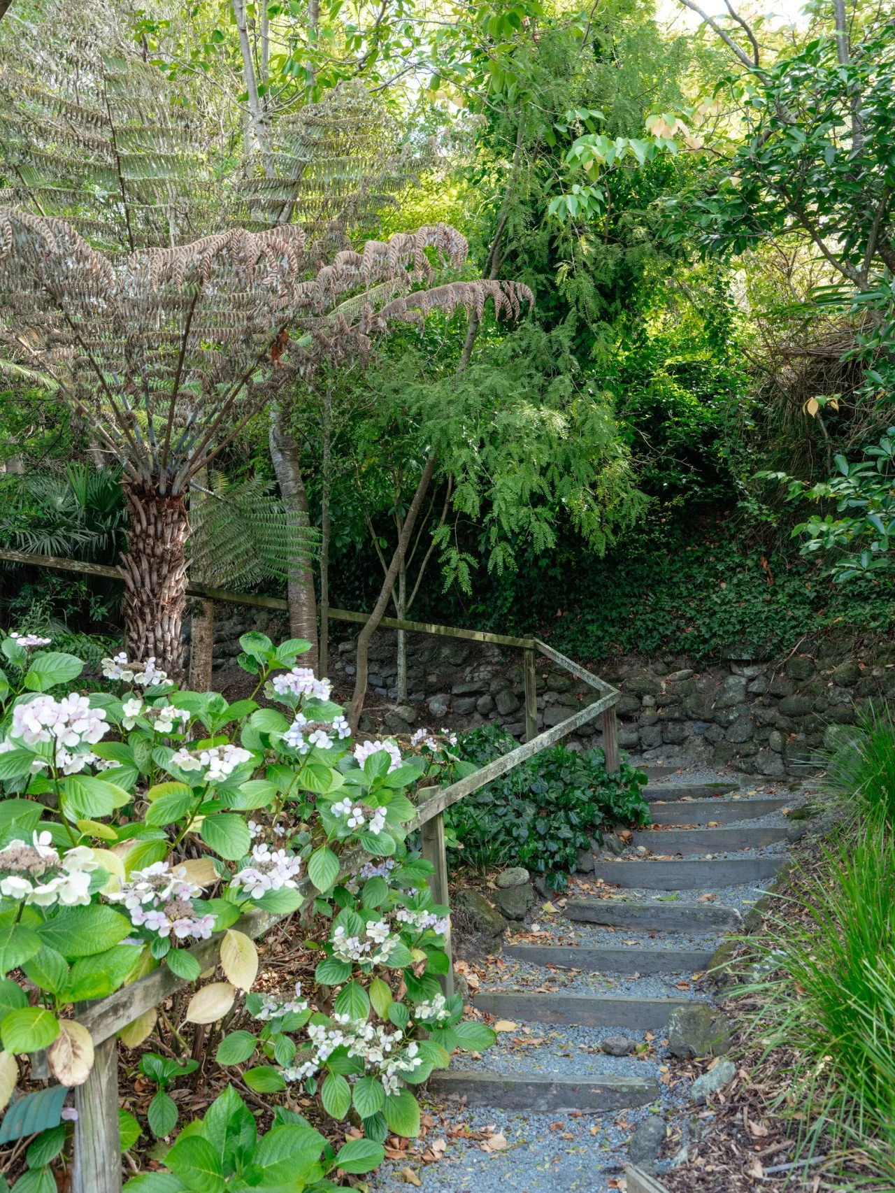 A garden pathway with stone steps and a wooden railing surrounded by green foliage, including flowering bushes and trees.