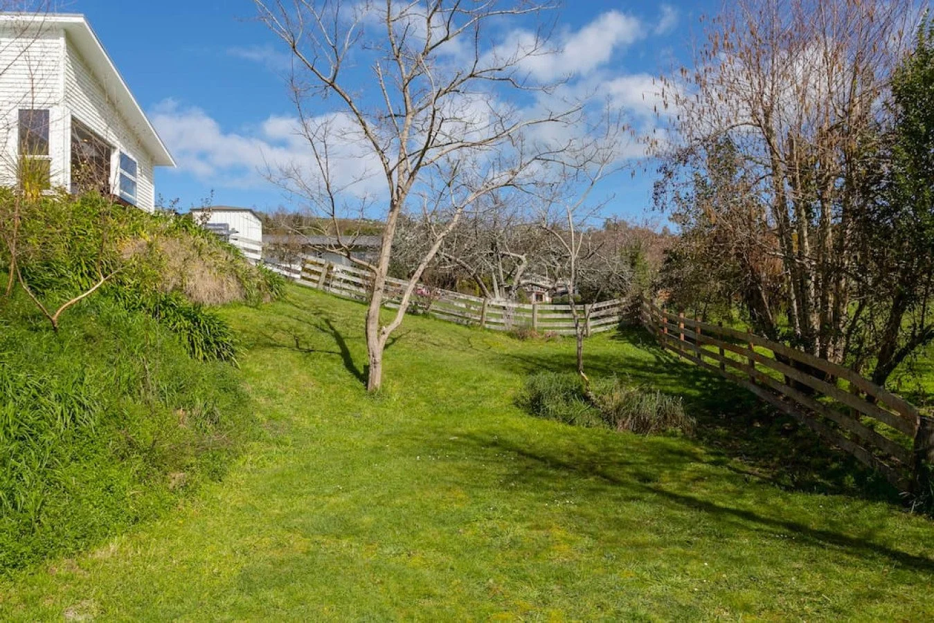 A lush, green backyard with a gentle slope, two leafless trees, a wooden fence, and a white house in the background under a partly cloudy blue sky.