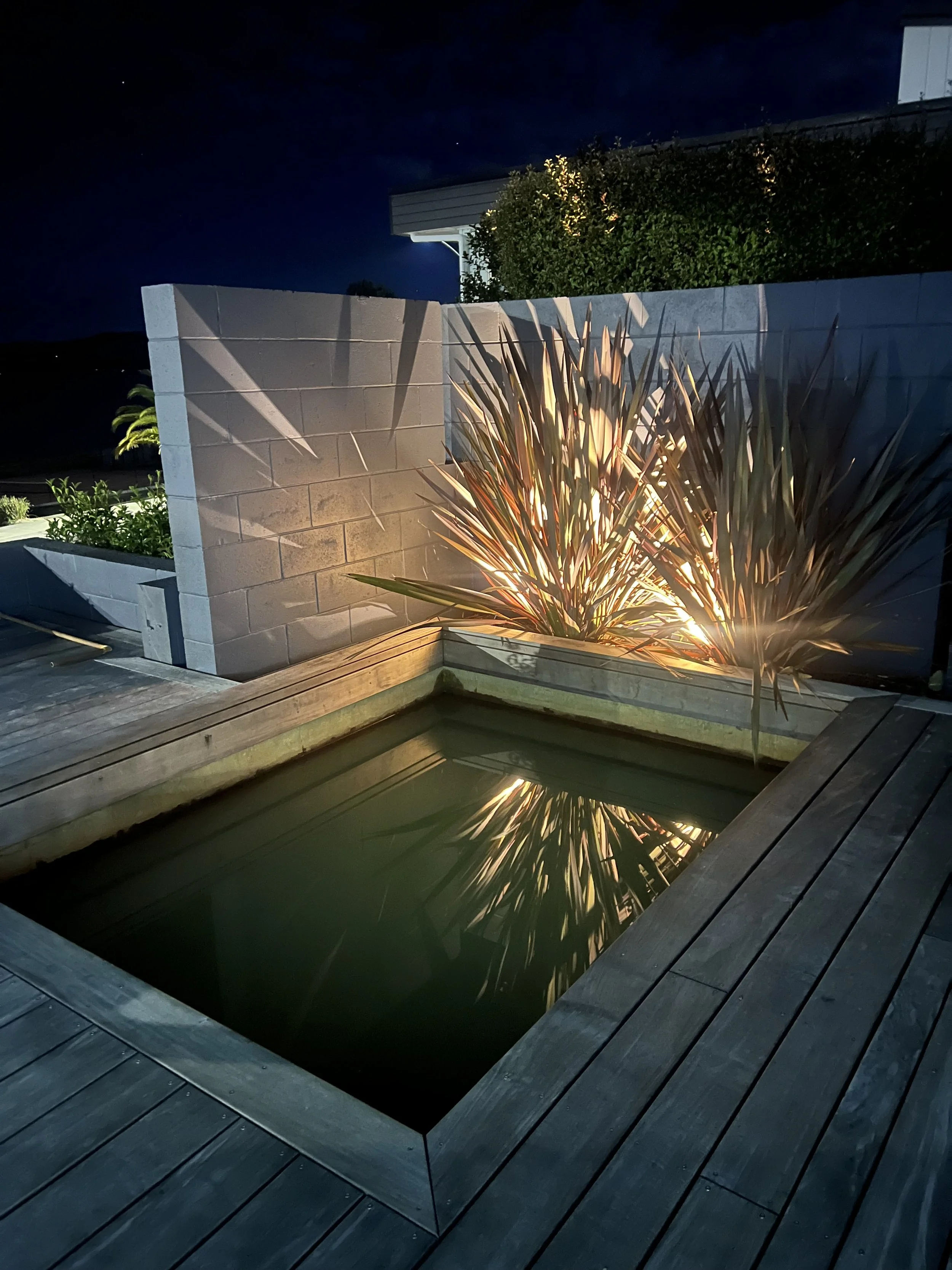 Lights behind pool.jpeg