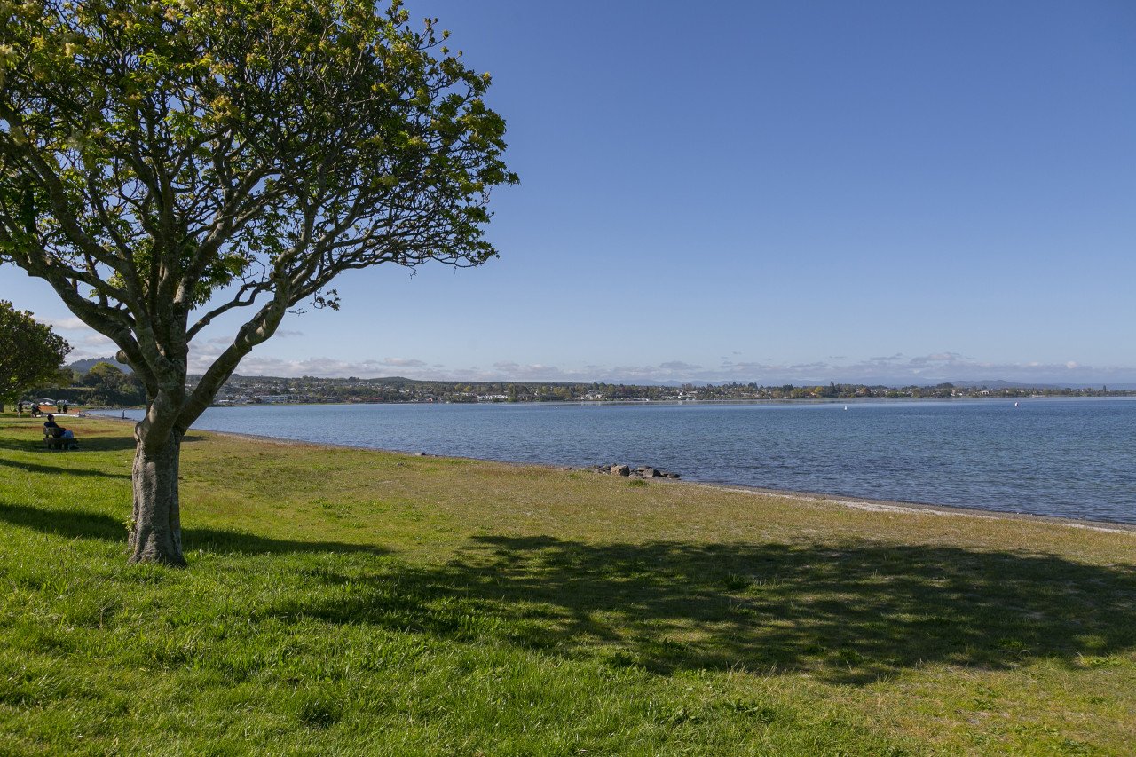 A peaceful lakeside scene with a large tree casting a shadow on the grassy shore, two people sitting on a bench under the tree, calm water, and a distant shoreline under a clear blue sky.