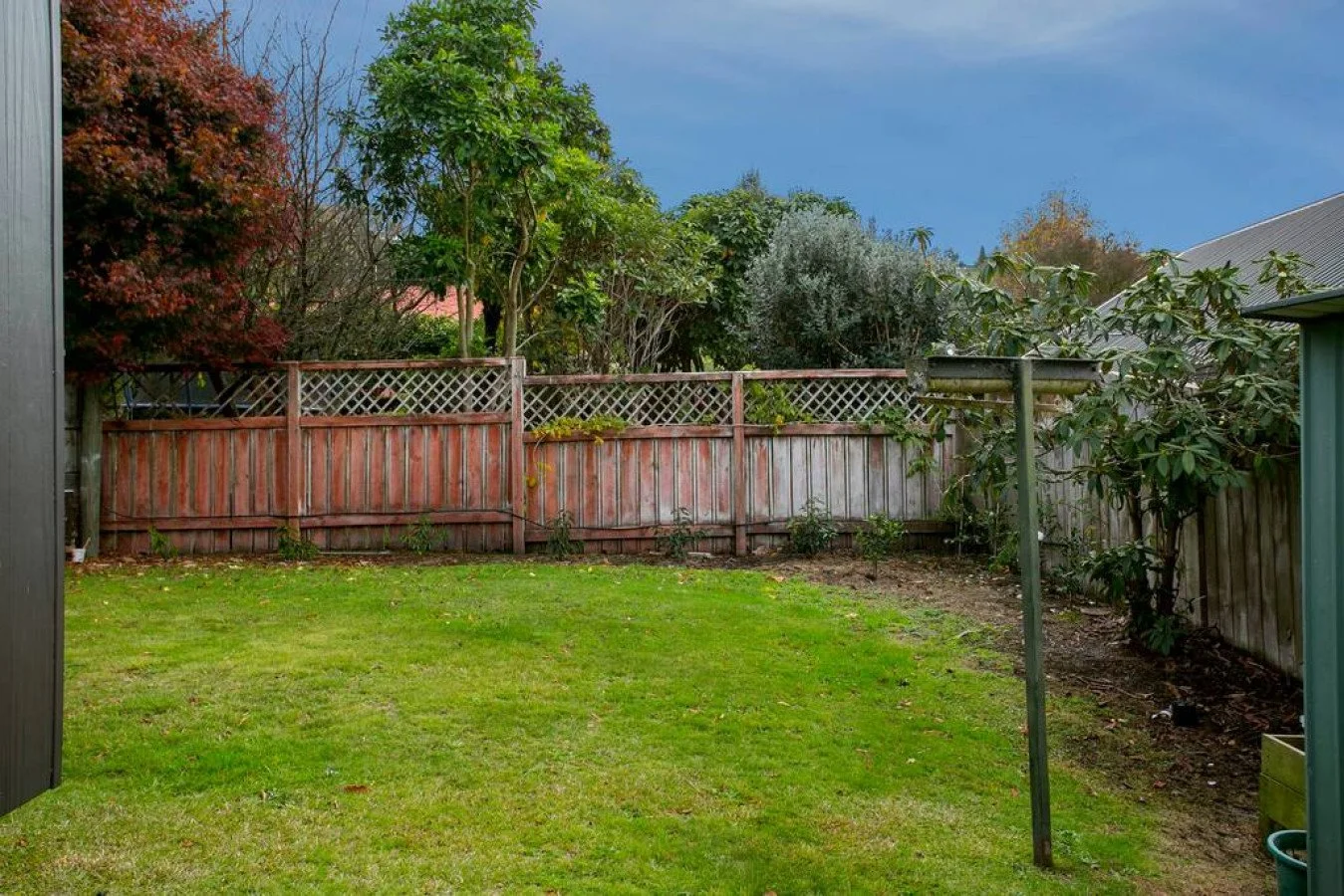 A backyard with green grass, a wooden fence, and various trees and bushes. A pole for hanging clothes stands near the right side.
